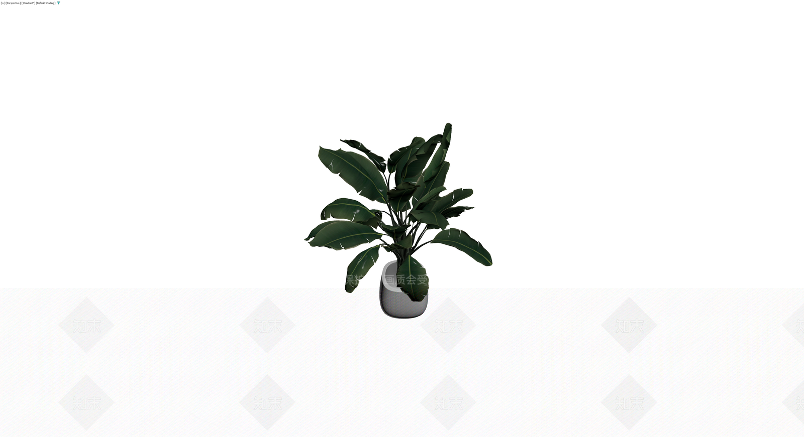 盆栽天堂鸟绿植3D模型下载【ID:1229897593】