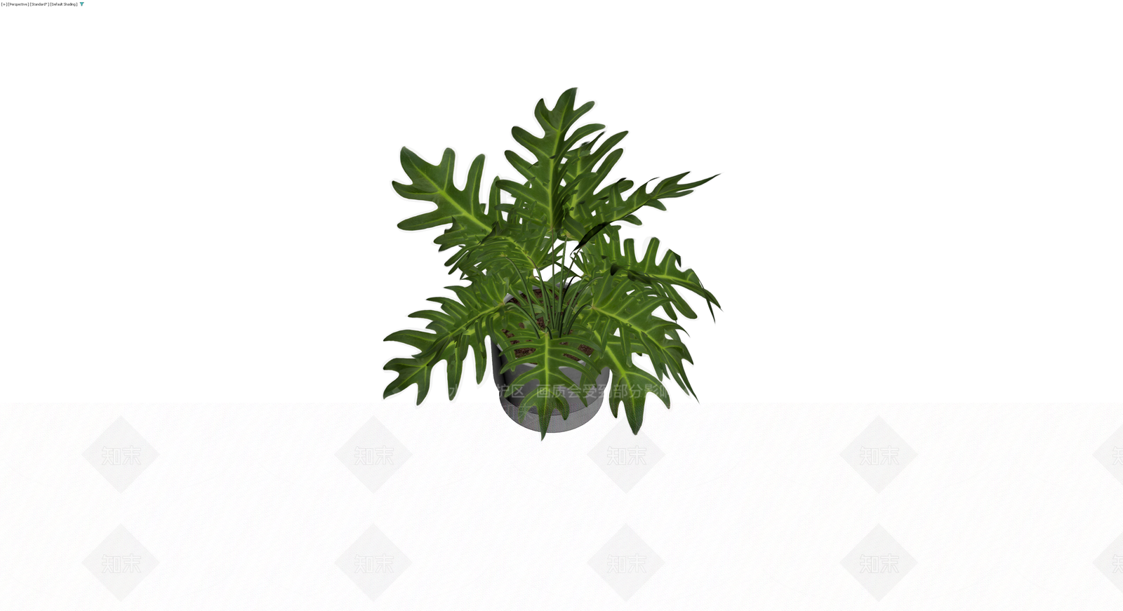 龟背竹盆栽带盆3D模型下载【ID:1230165085】