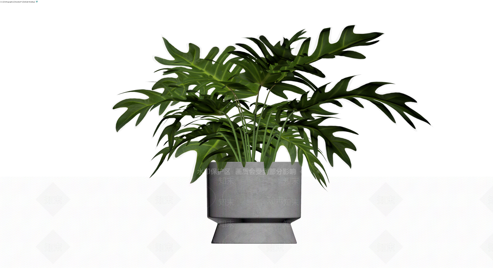 龟背竹盆栽带盆3D模型下载【ID:1230165085】