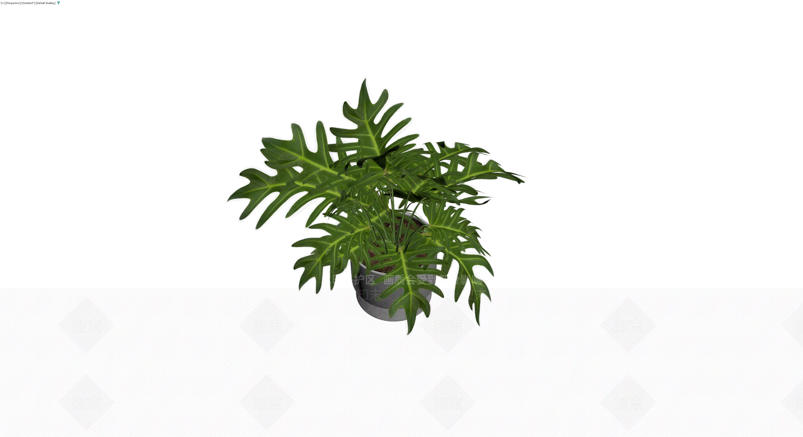 龟背竹盆栽带盆3D模型下载【ID:1230165085】