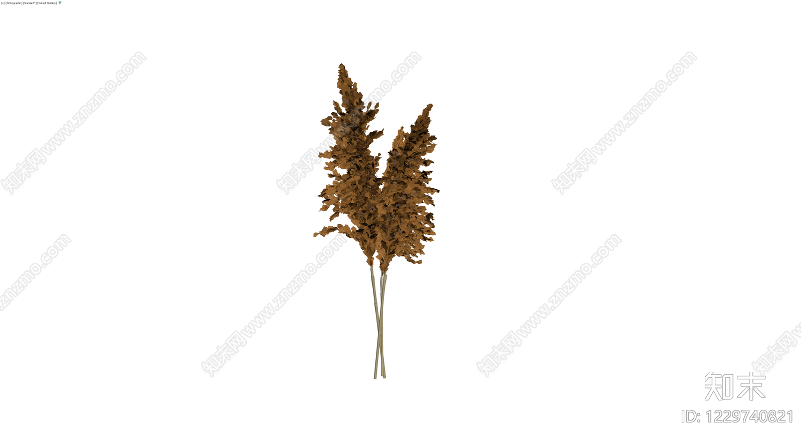 干燥芦苇草植物组合3D模型下载【ID:1229740821】