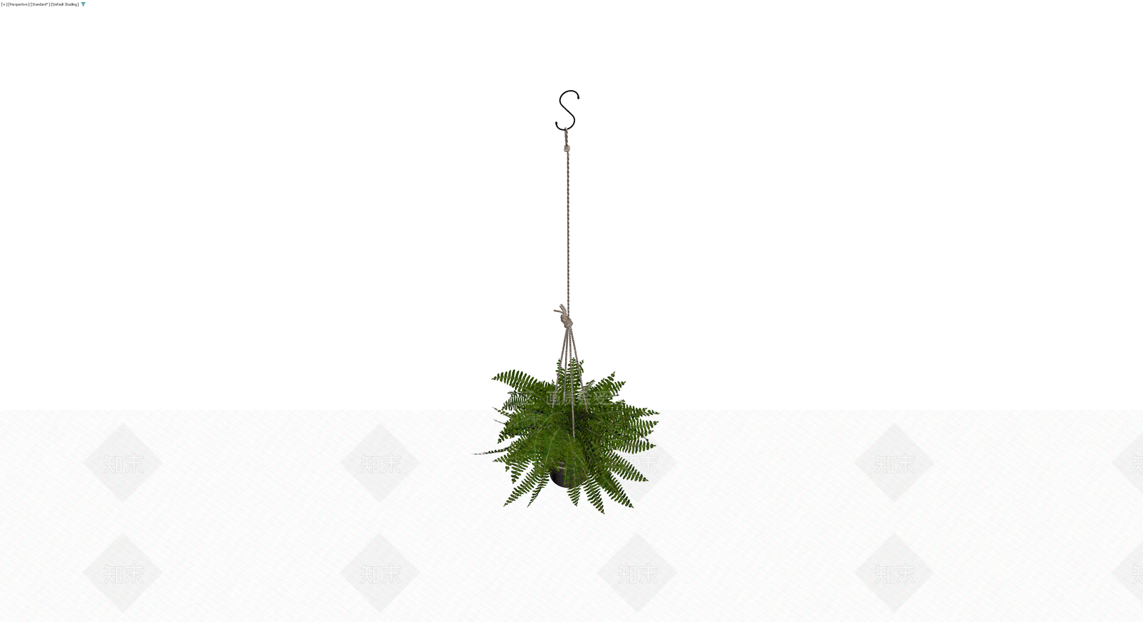 盆栽蕨类植物3D模型下载【ID:1230115360】