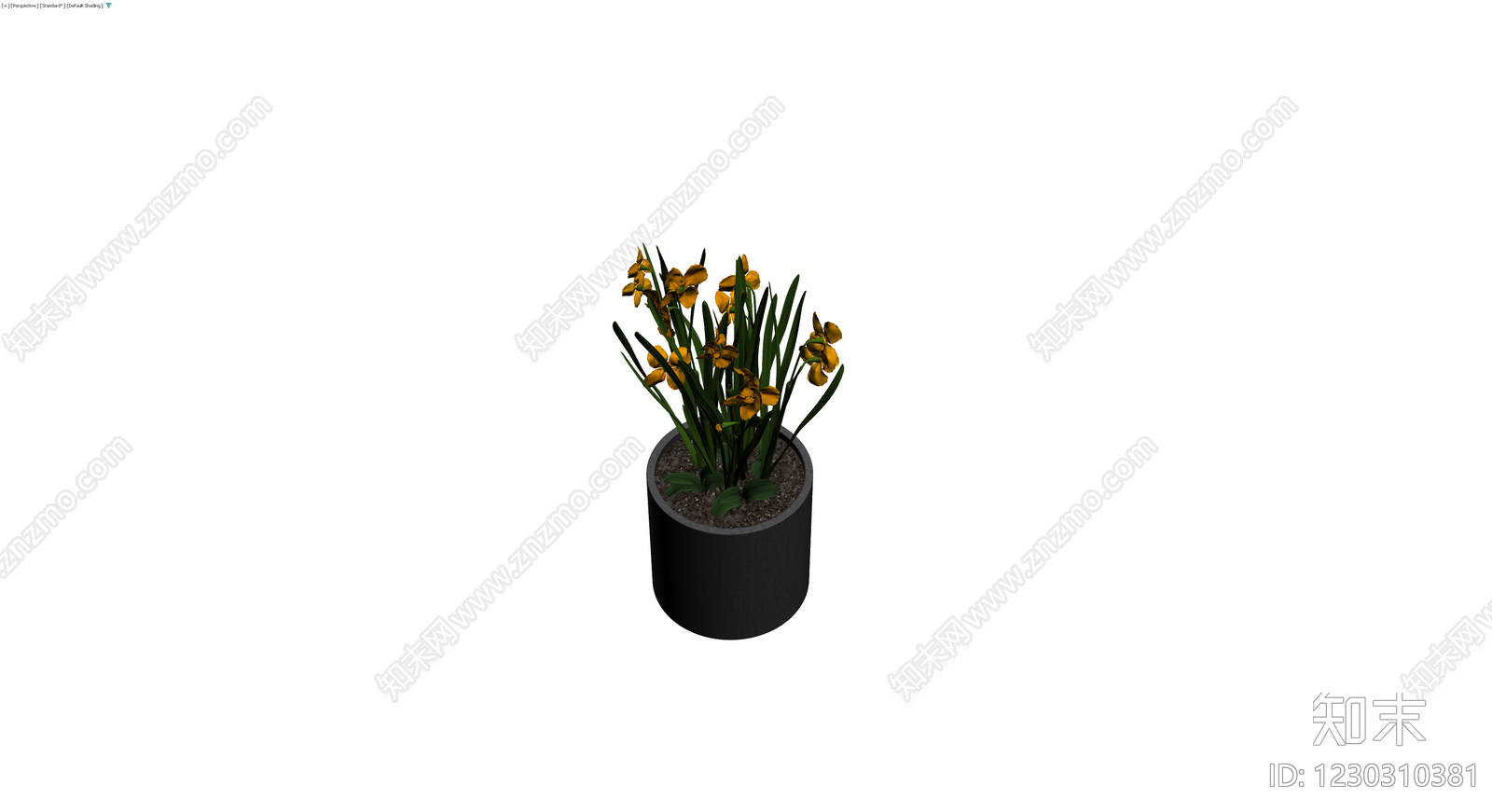 黄色鸢尾盆栽3D模型下载【ID:1230310381】