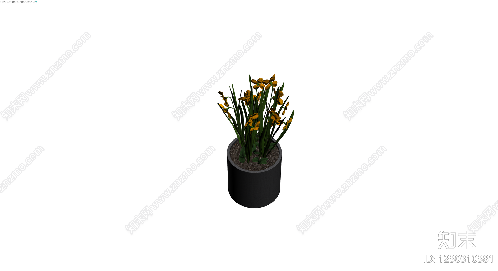 黄色鸢尾盆栽3D模型下载【ID:1230310381】