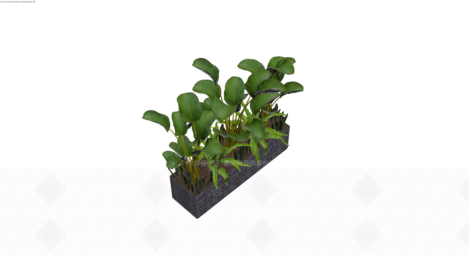 长方形编织花箱盆栽组合3D模型下载【ID:1230371464】