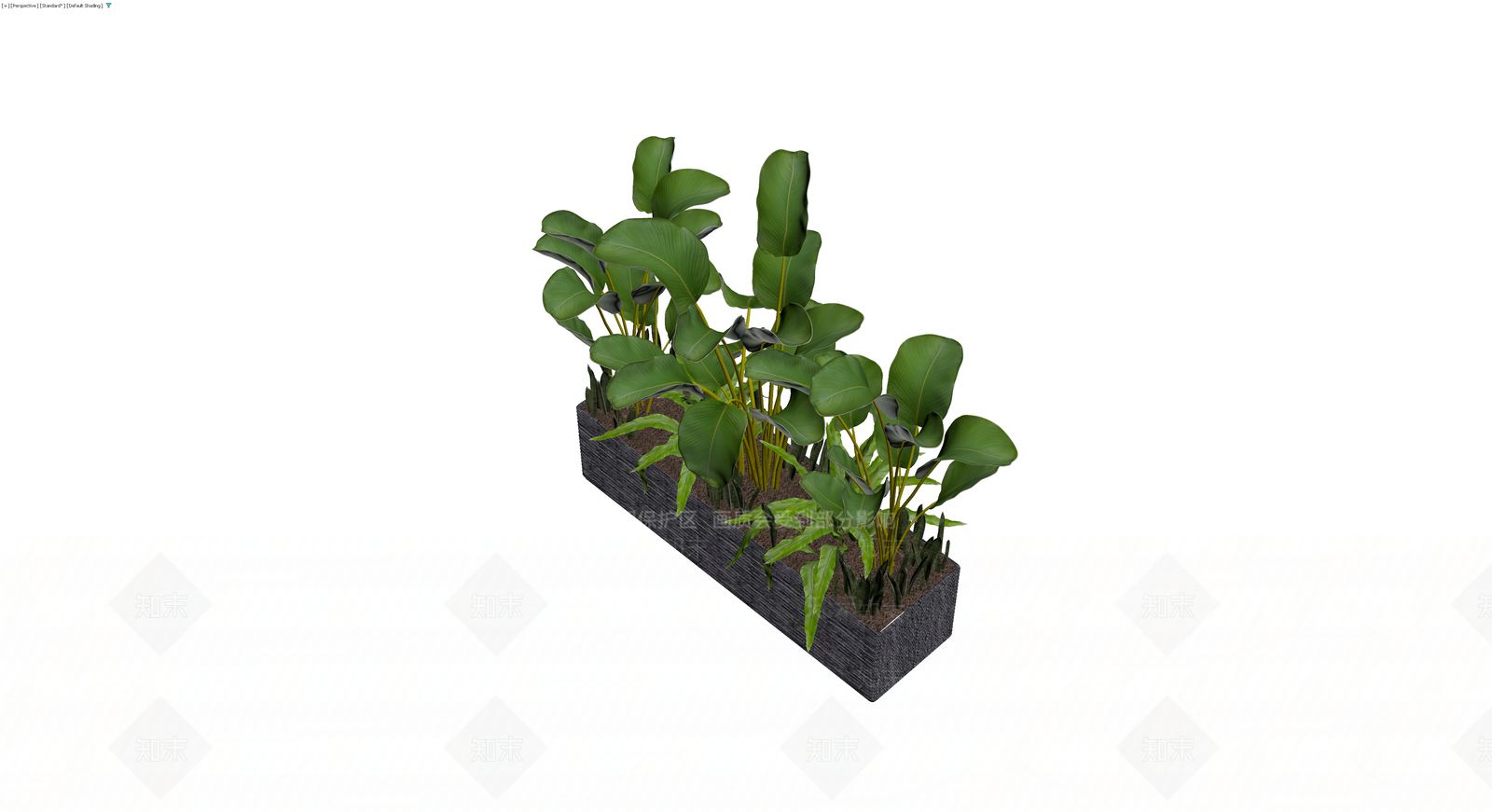 长方形编织花箱盆栽组合3D模型下载【ID:1230371464】