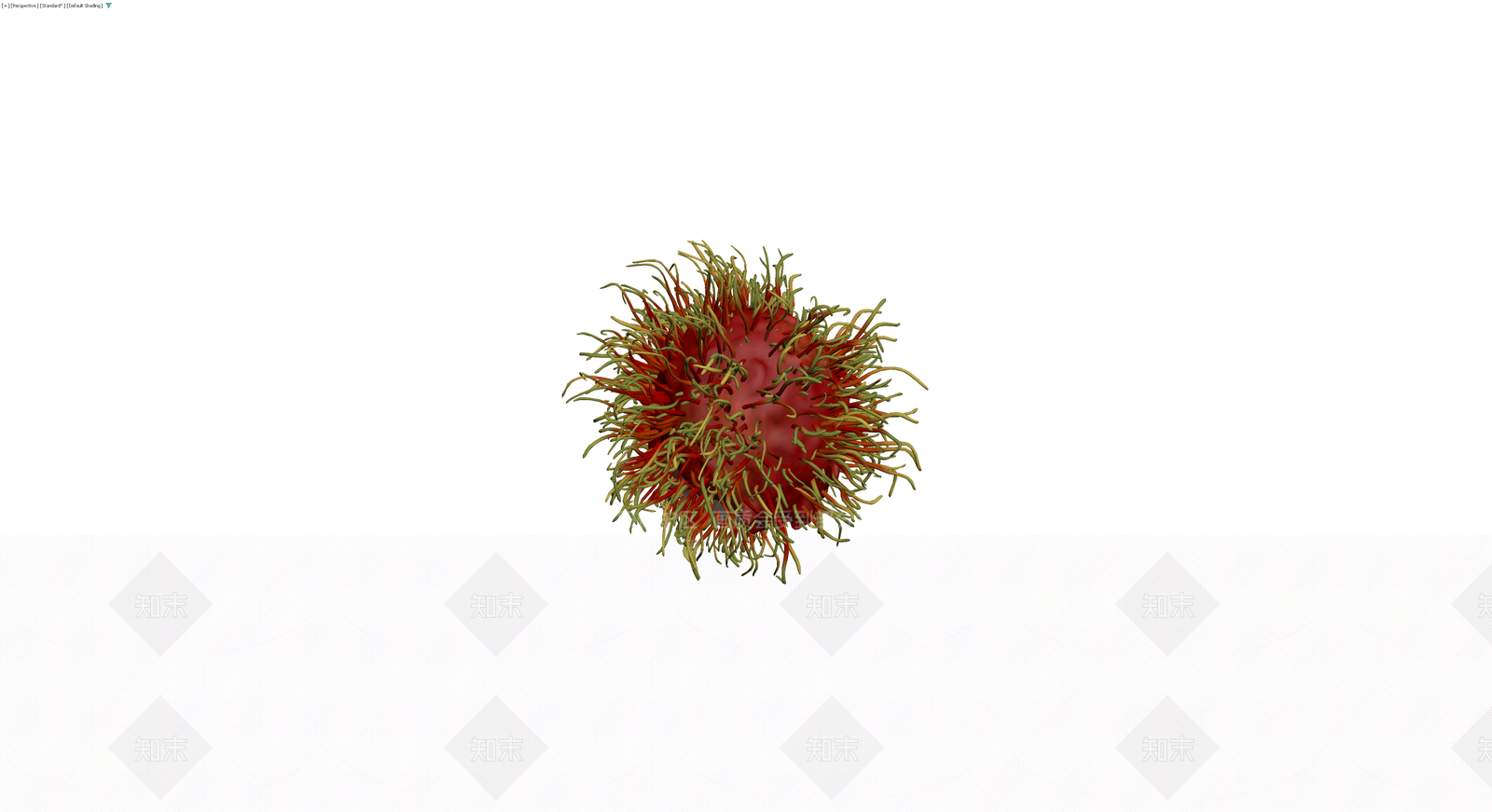 红毛丹水果模型3D模型下载【ID:1229976445】