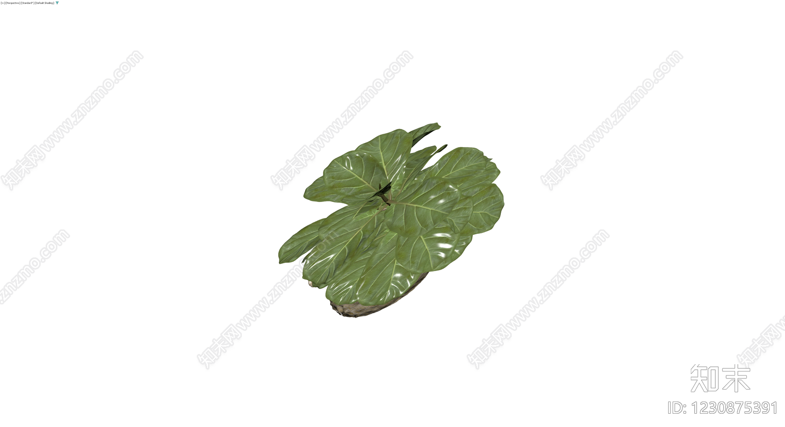编织篮盆栽植物3D模型下载【ID:1230875391】