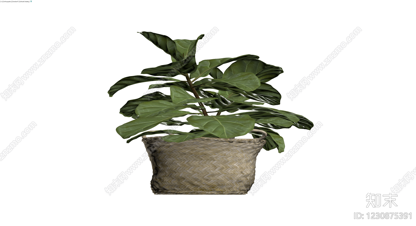 编织篮盆栽植物3D模型下载【ID:1230875391】