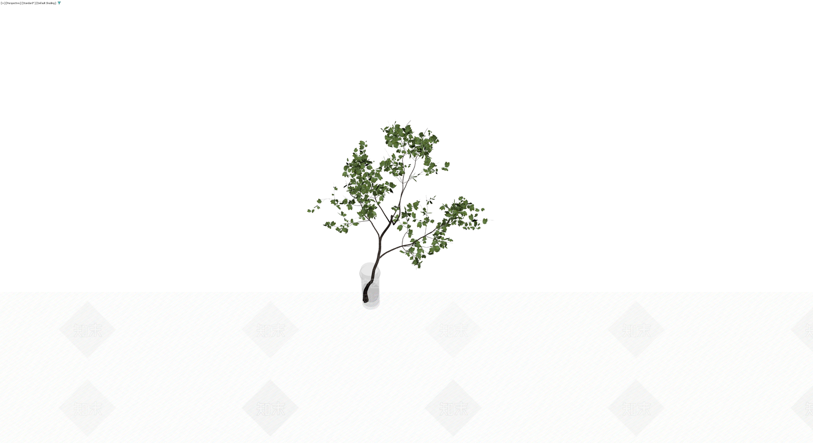 盆栽绿植带盆3D模型下载【ID:1230629604】