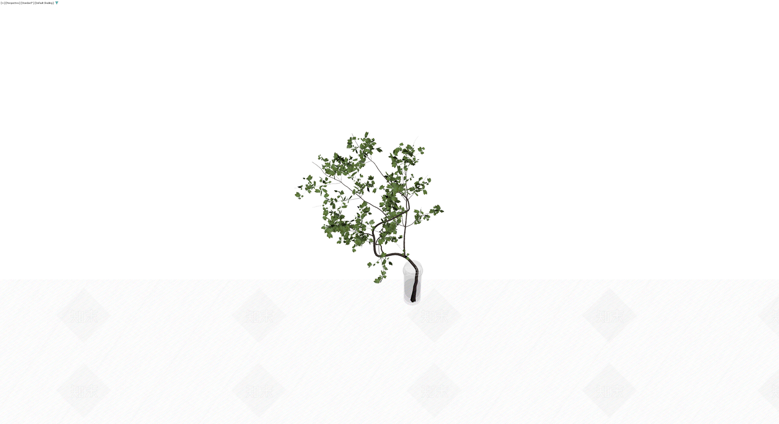 盆栽绿植带盆3D模型下载【ID:1230629604】
