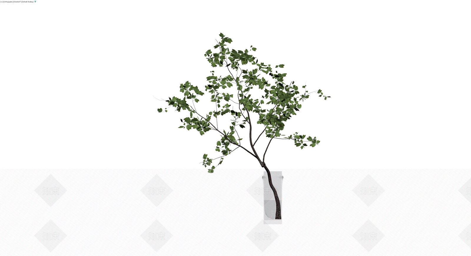 盆栽绿植带盆3D模型下载【ID:1230629604】