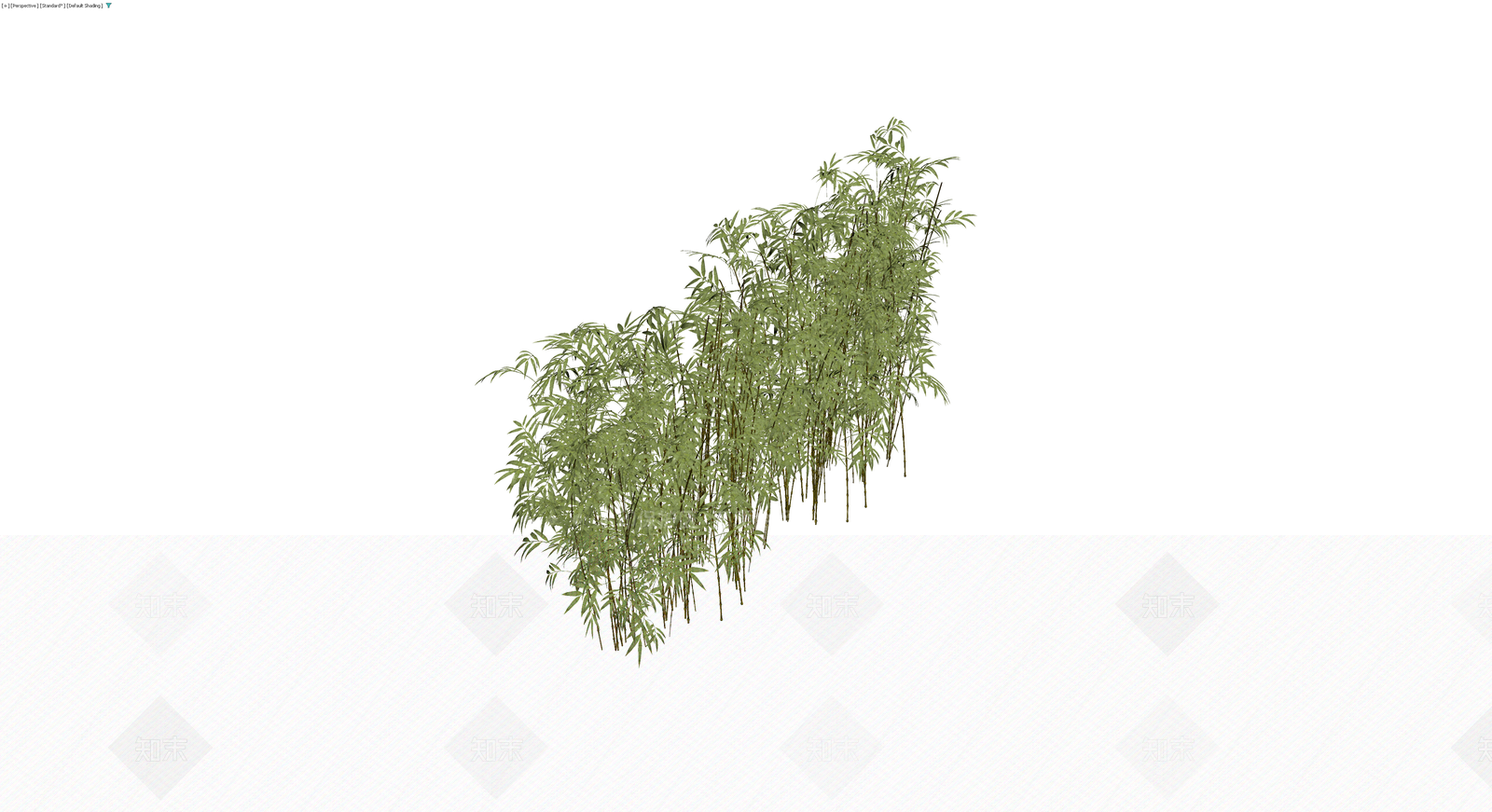 丛生竹子植物模型3D模型下载【ID:1230332532】