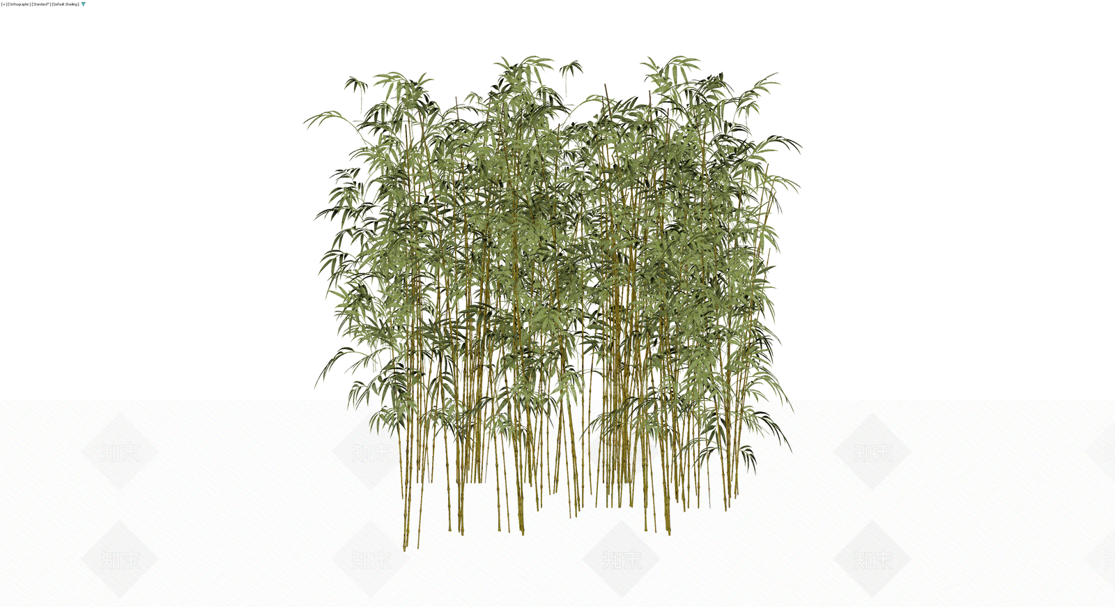 丛生竹子植物模型3D模型下载【ID:1230332532】
