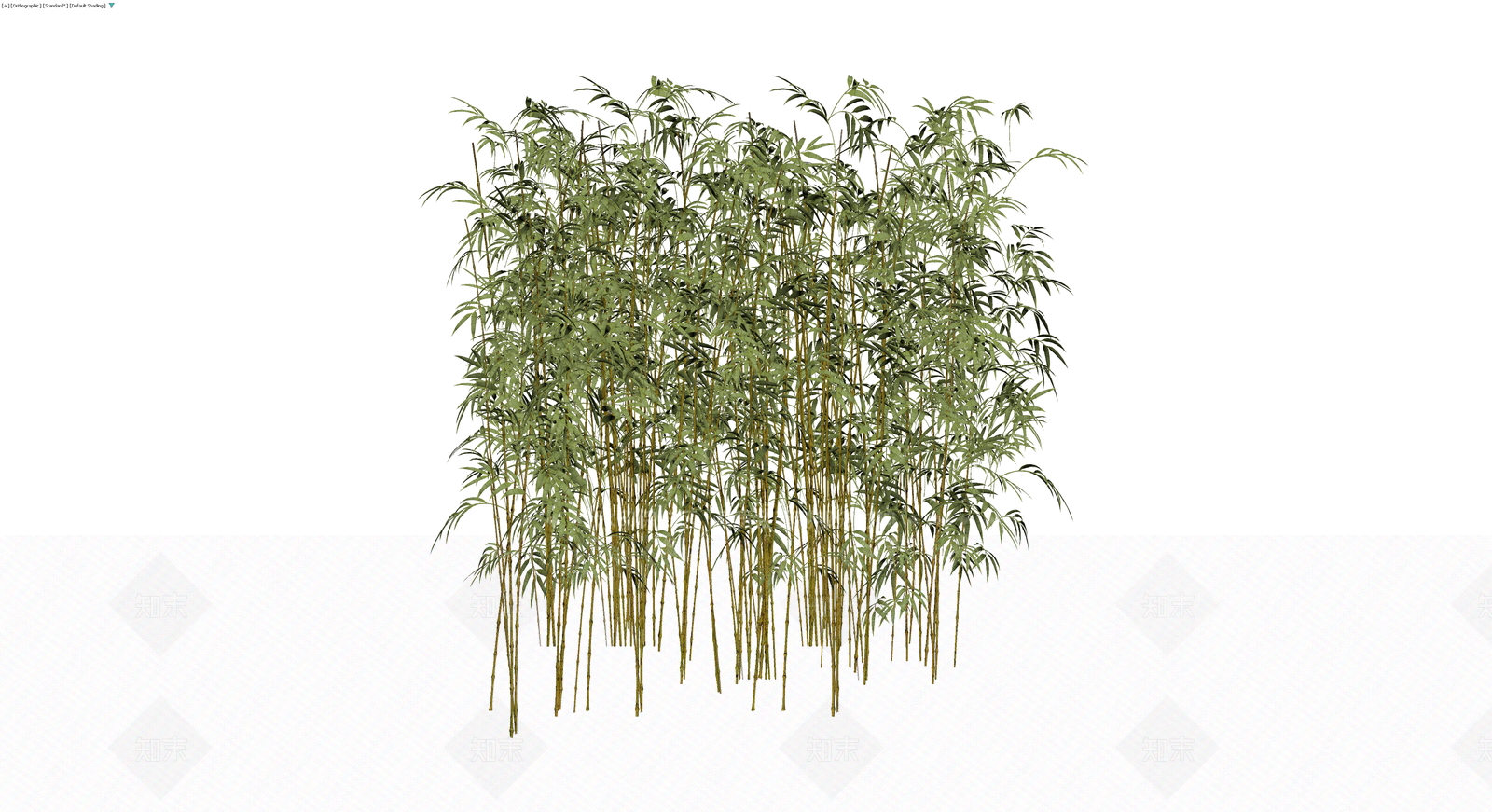 丛生竹子植物模型3D模型下载【ID:1230332532】