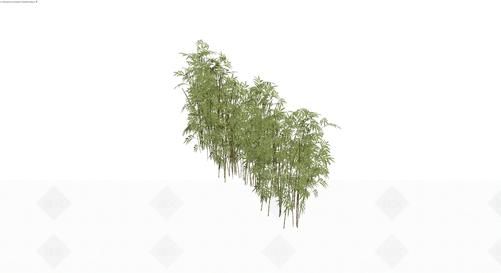丛生竹子植物模型3D模型下载【ID:1230332532】