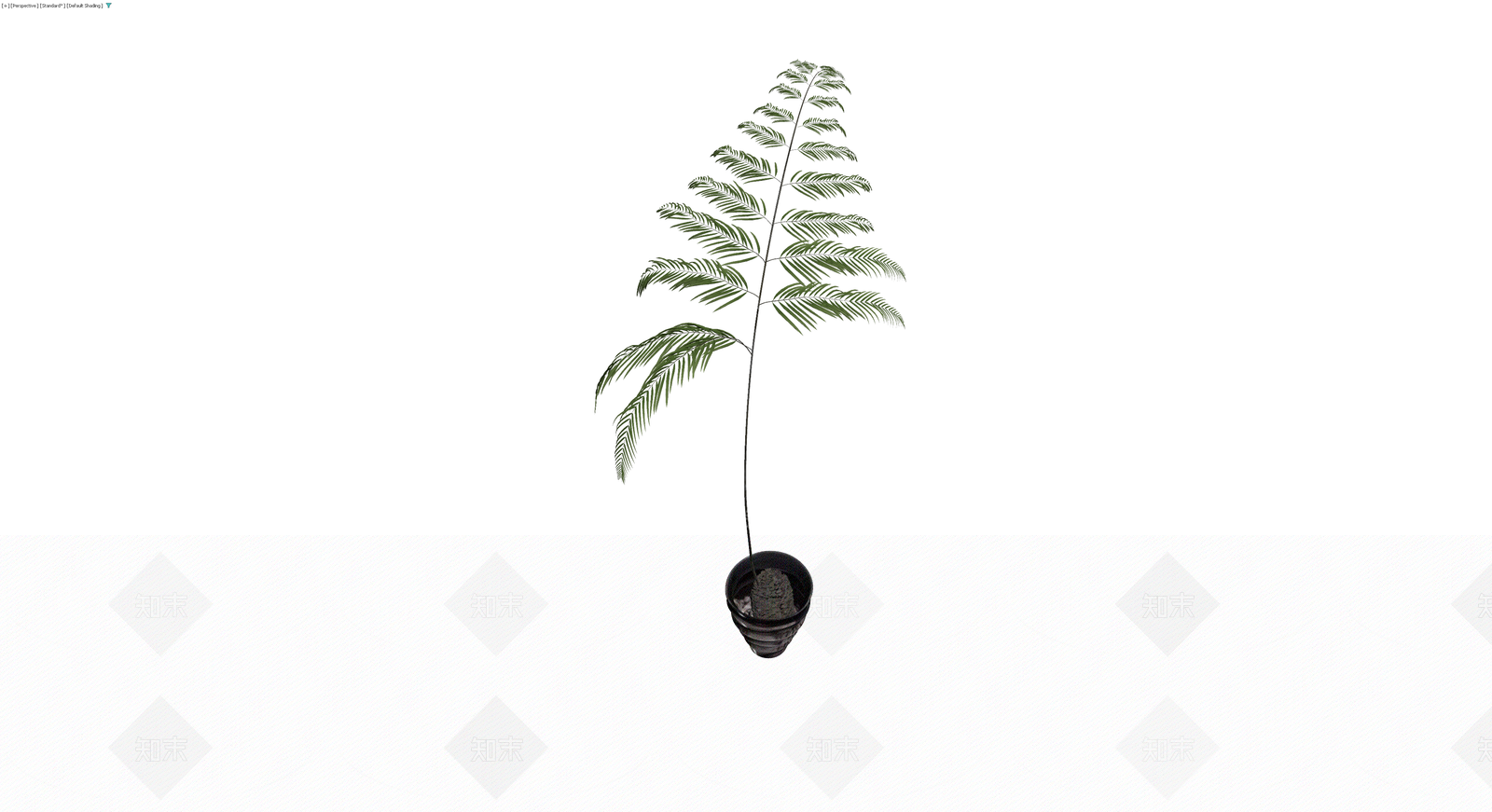 盆栽蕨类植物模型3D模型下载【ID:1230108028】