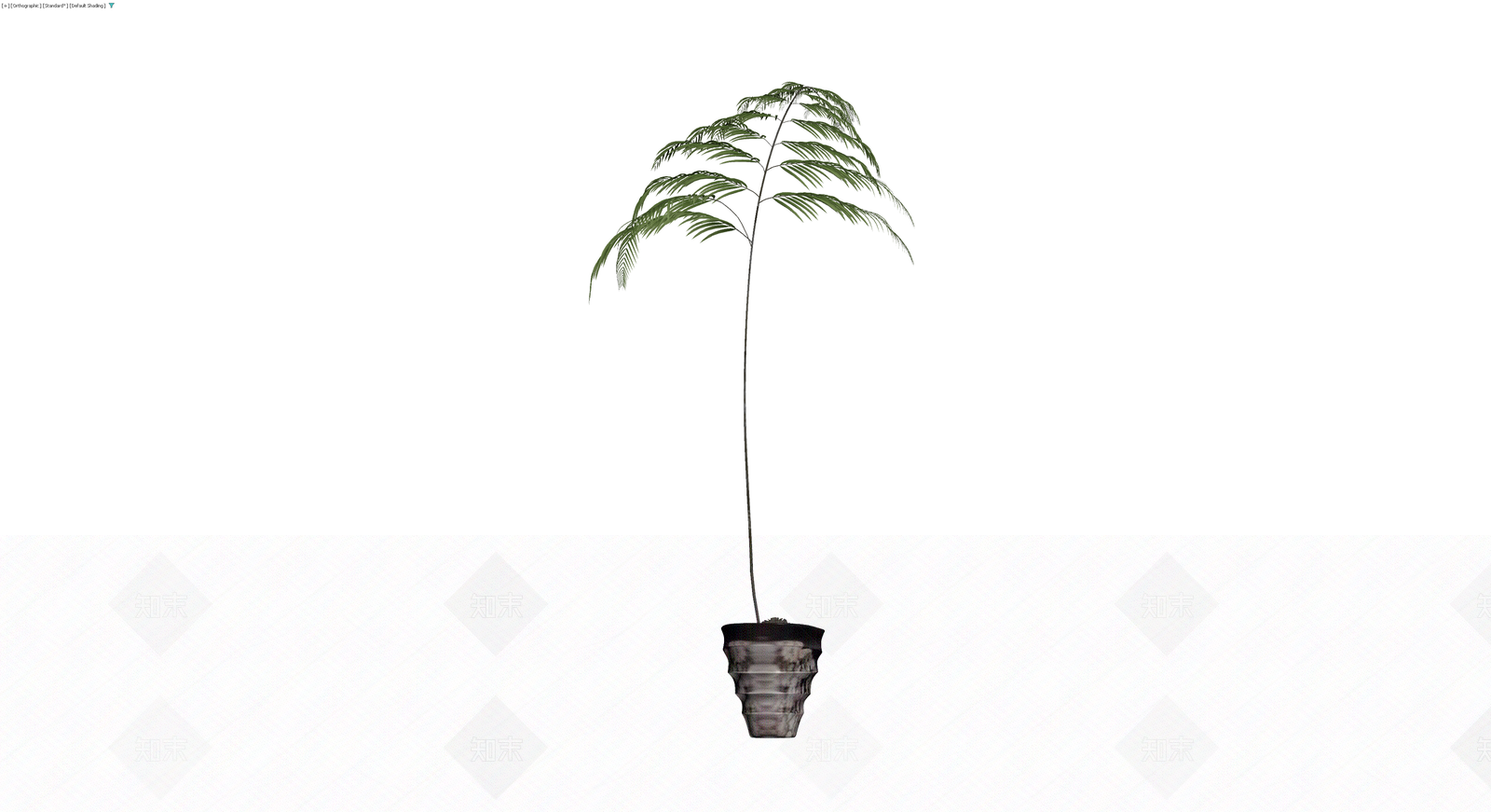 盆栽蕨类植物模型3D模型下载【ID:1230108028】