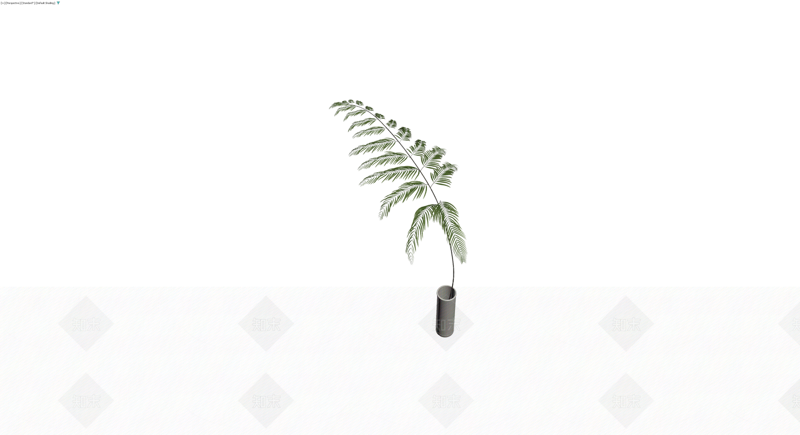 盆栽蕨类植物3D模型下载【ID:1230407813】