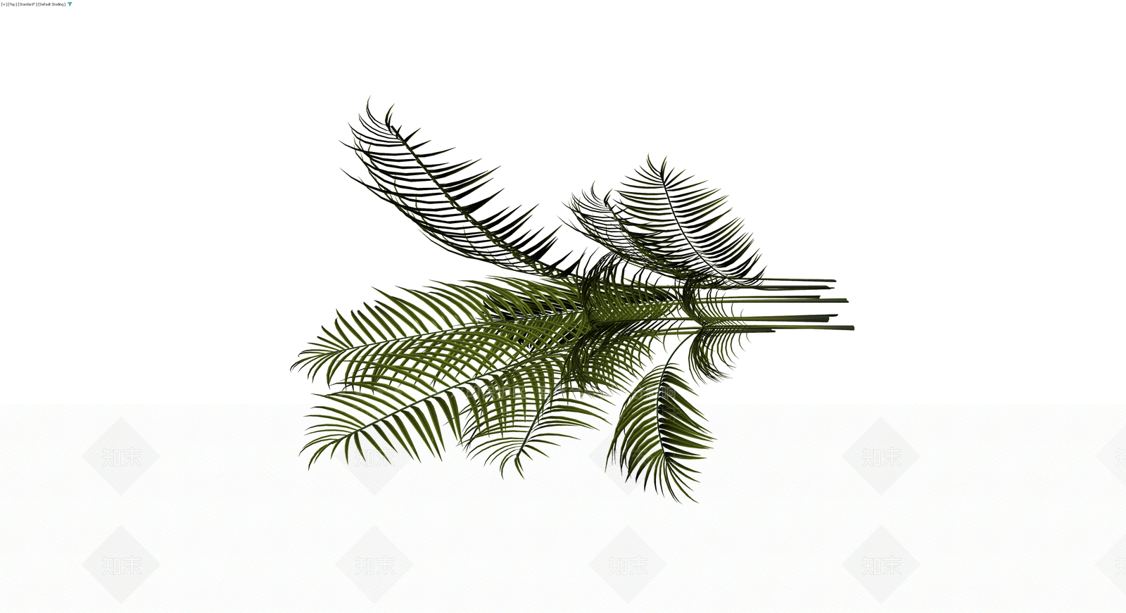 仿真棕榈植物枝叶组3D模型下载【ID:1230392814】