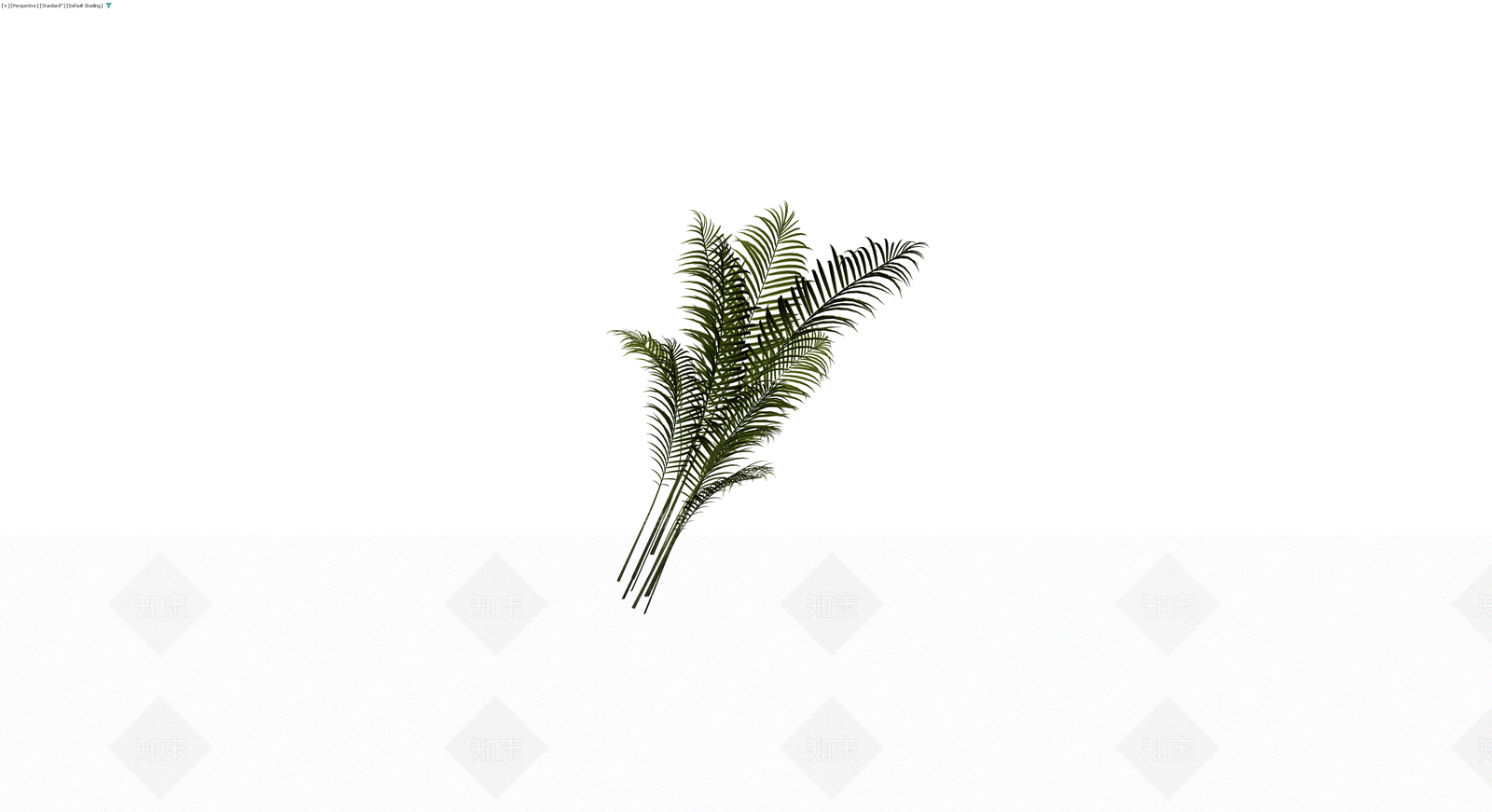 仿真棕榈植物枝叶组3D模型下载【ID:1230392814】