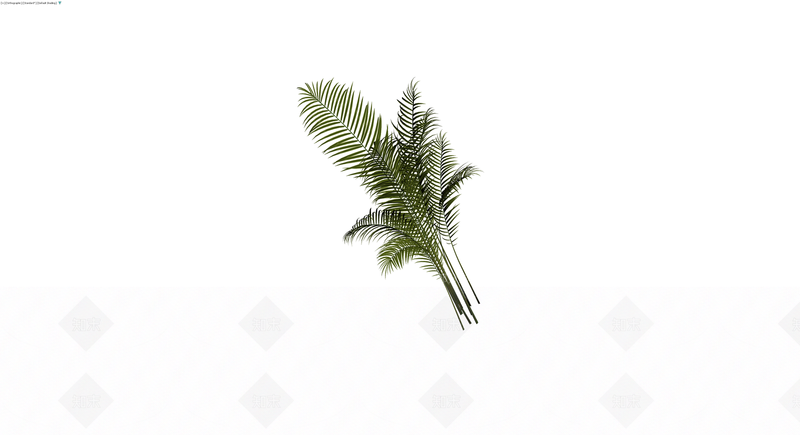 仿真棕榈植物枝叶组3D模型下载【ID:1230392814】