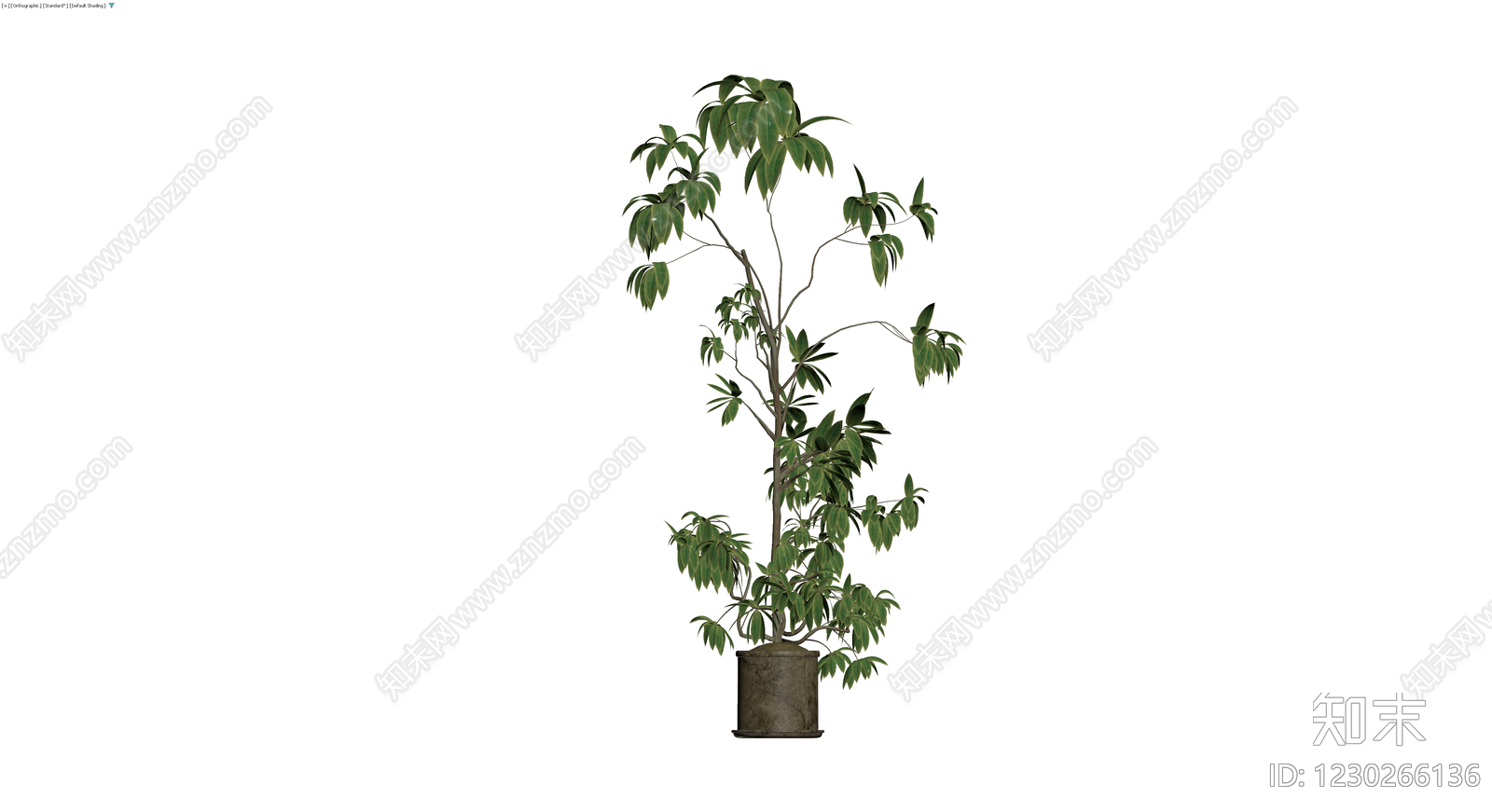 带盆绿色盆栽植物3D模型下载【ID:1230266136】
