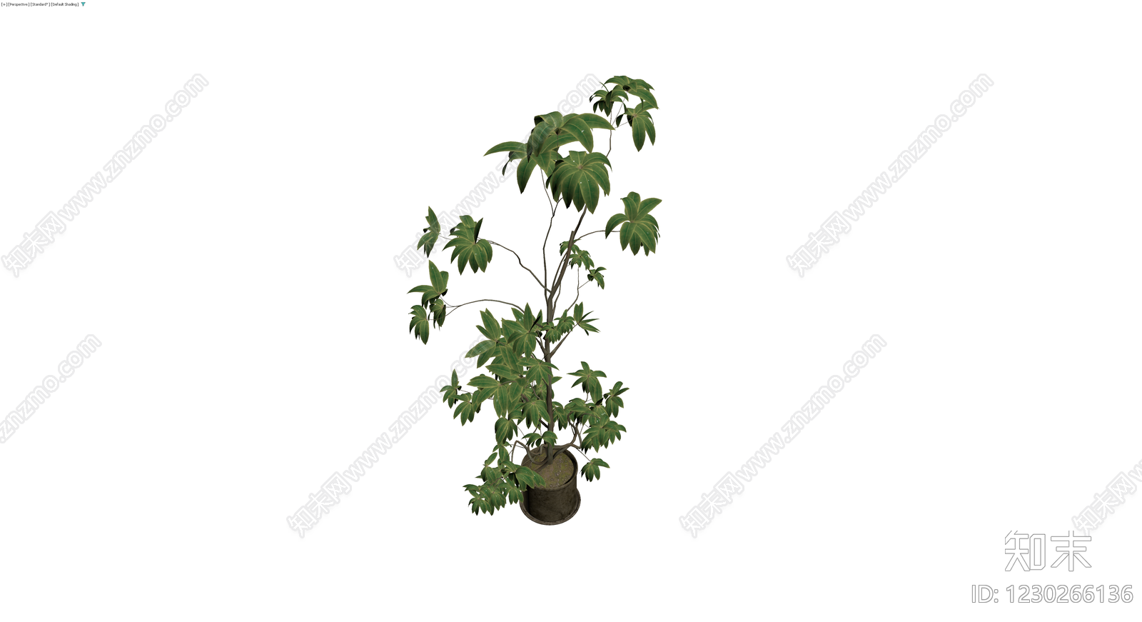 带盆绿色盆栽植物3D模型下载【ID:1230266136】