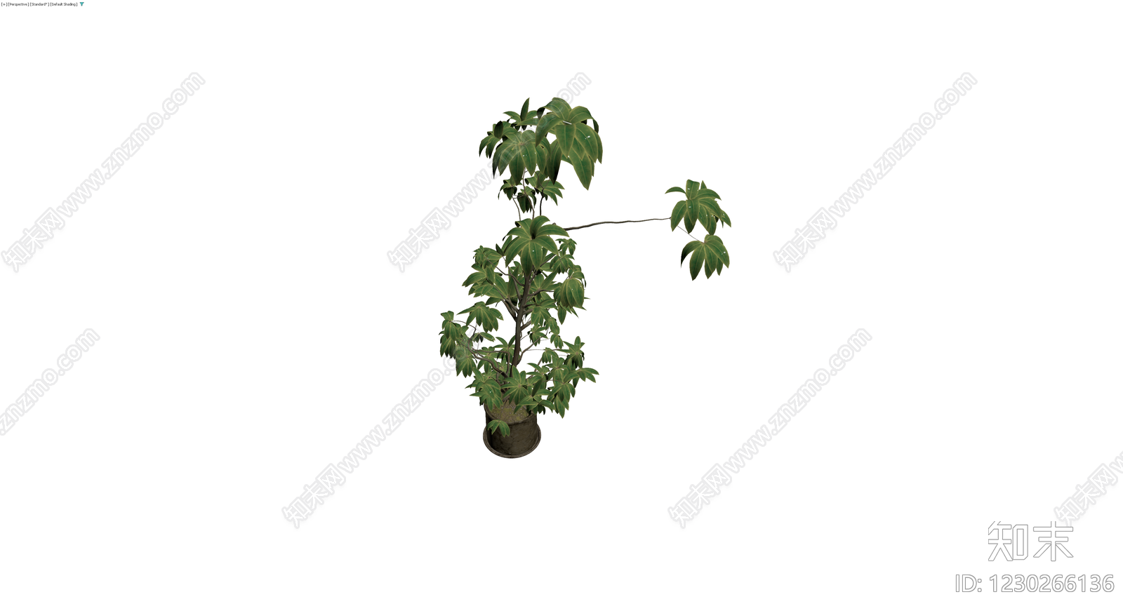 带盆绿色盆栽植物3D模型下载【ID:1230266136】