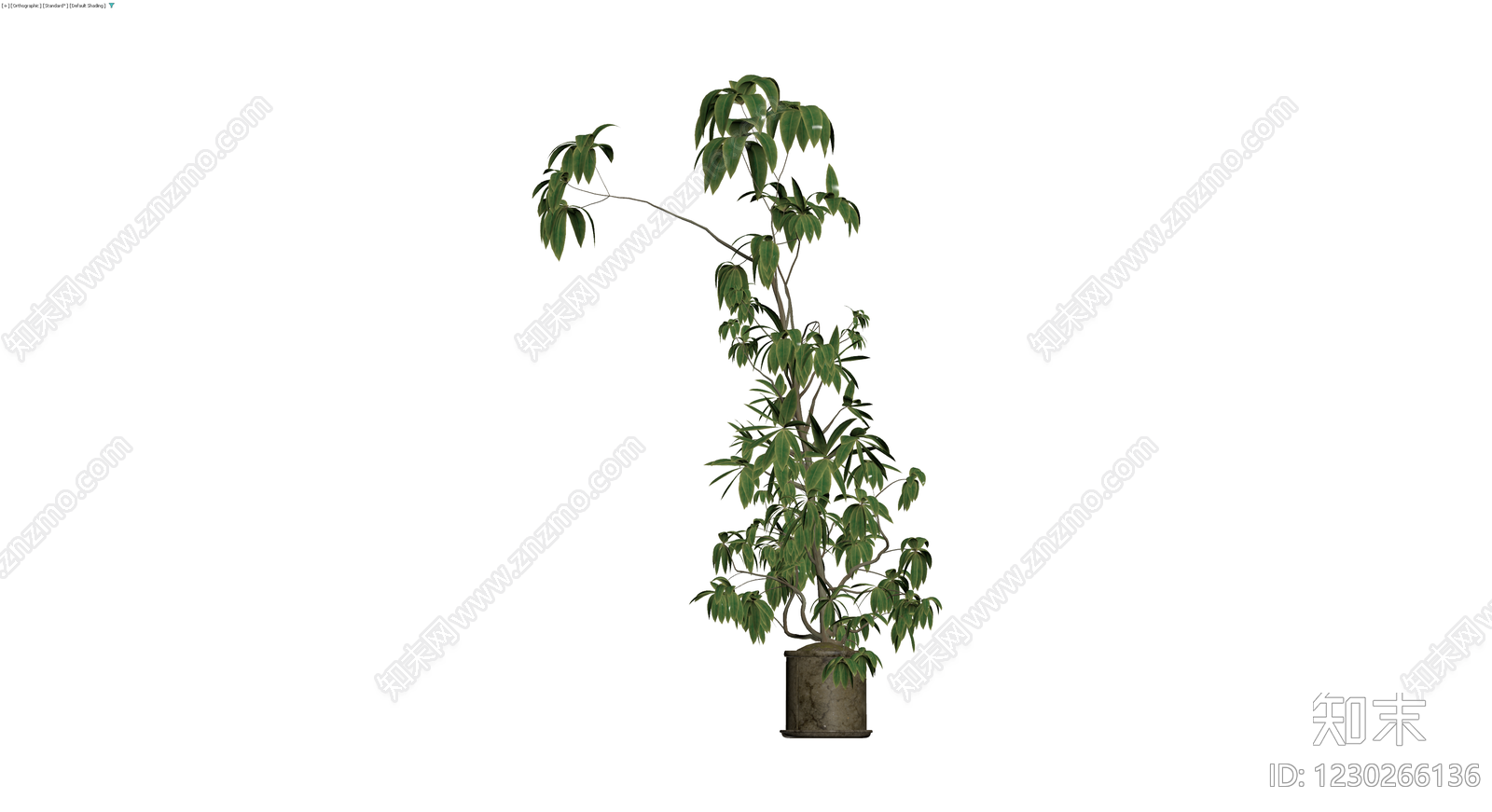 带盆绿色盆栽植物3D模型下载【ID:1230266136】
