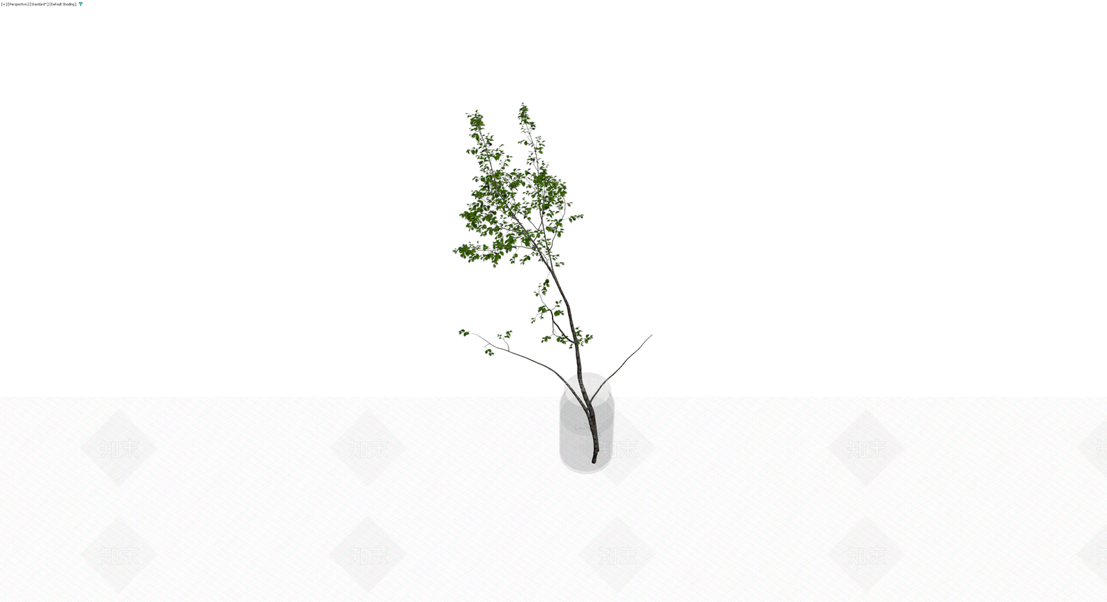 玻璃瓶插绿植盆栽3D模型下载【ID:1230567198】