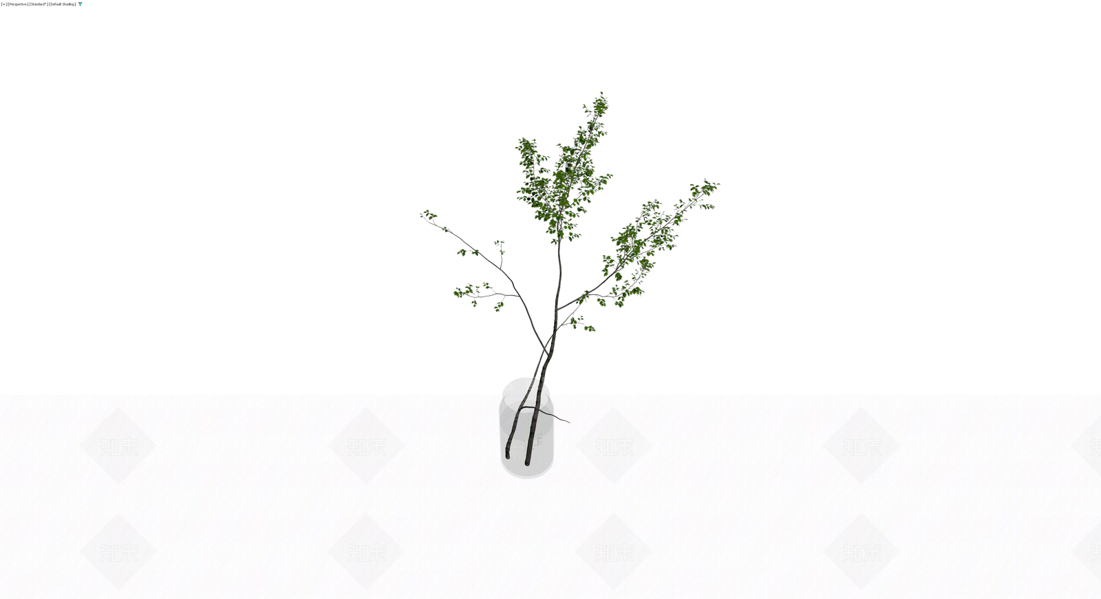 玻璃瓶插绿植盆栽3D模型下载【ID:1230567198】