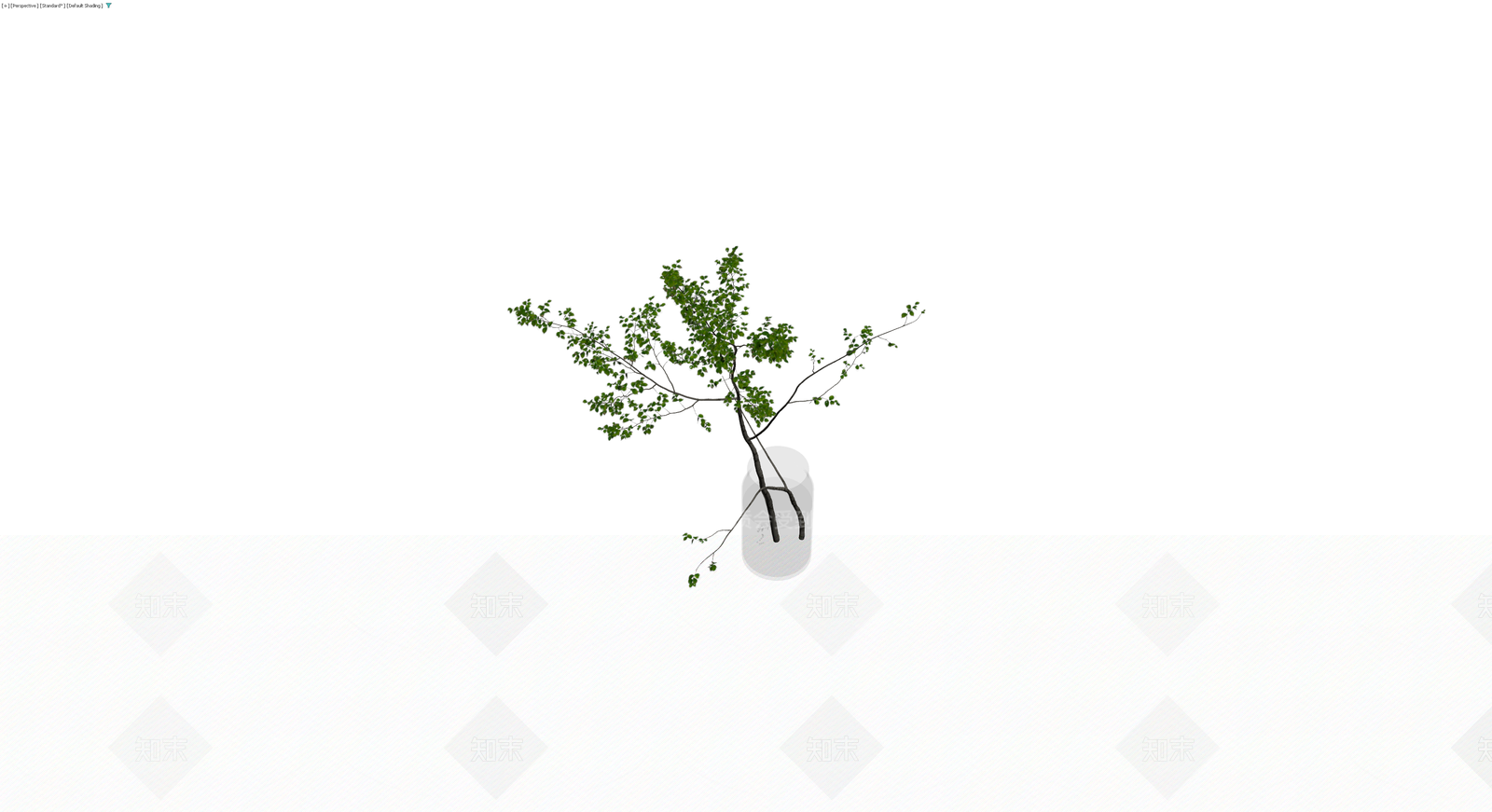 玻璃瓶插绿植盆栽3D模型下载【ID:1230567198】