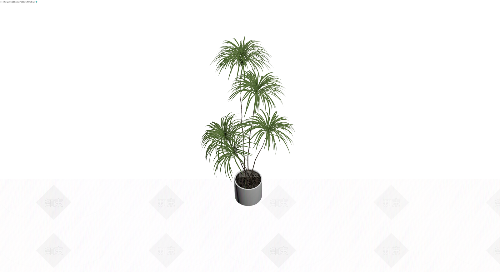 盆栽植物带盆3D模型下载【ID:1230676025】