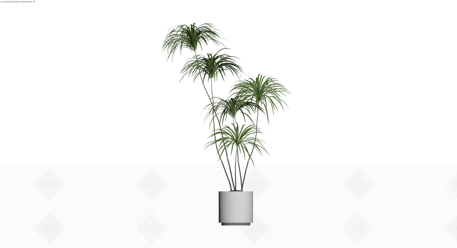 盆栽植物带盆3D模型下载【ID:1230676025】