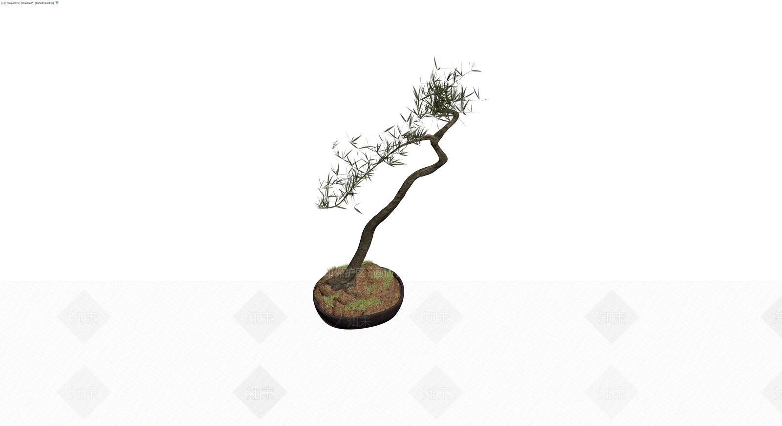 造型盆景盆栽模型3D模型下载【ID:1230098581】