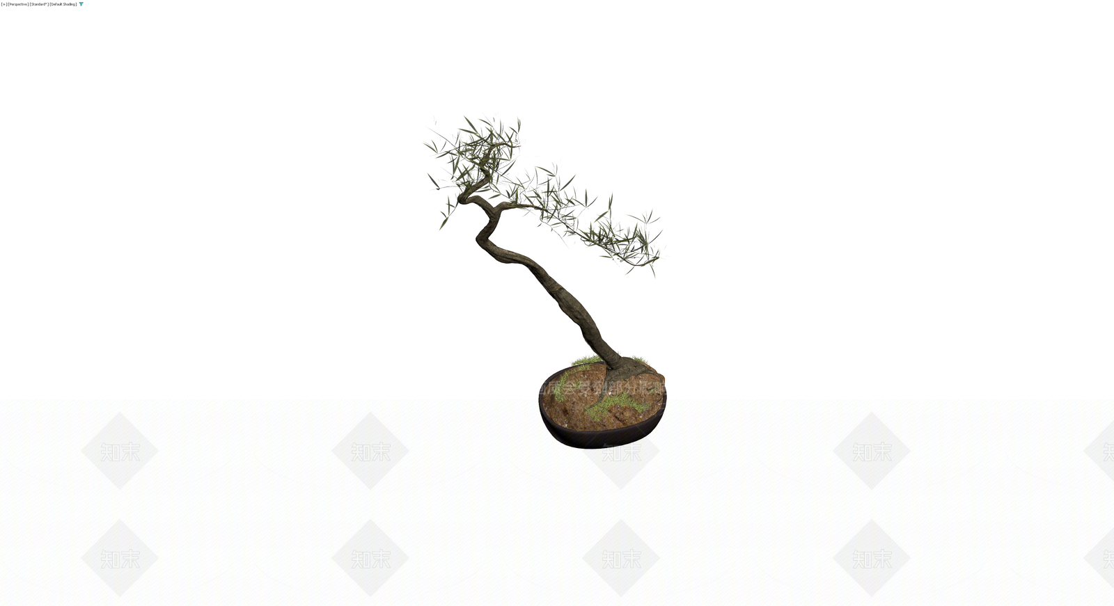 造型盆景盆栽模型3D模型下载【ID:1230098581】