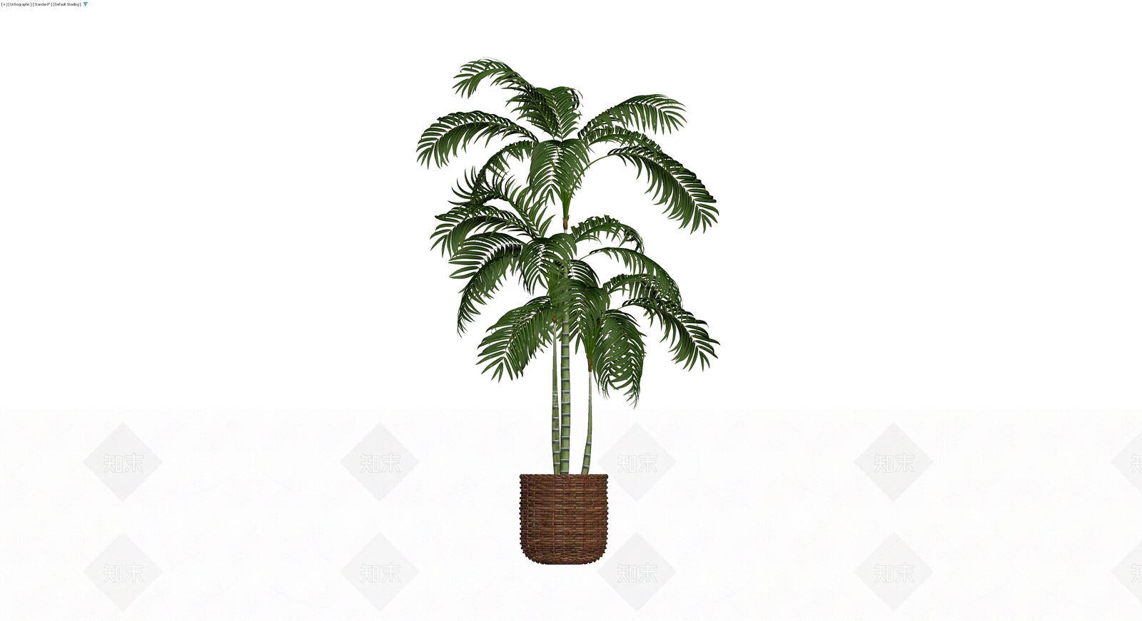 盆栽散尾葵棕榈3D模型下载【ID:1230764931】
