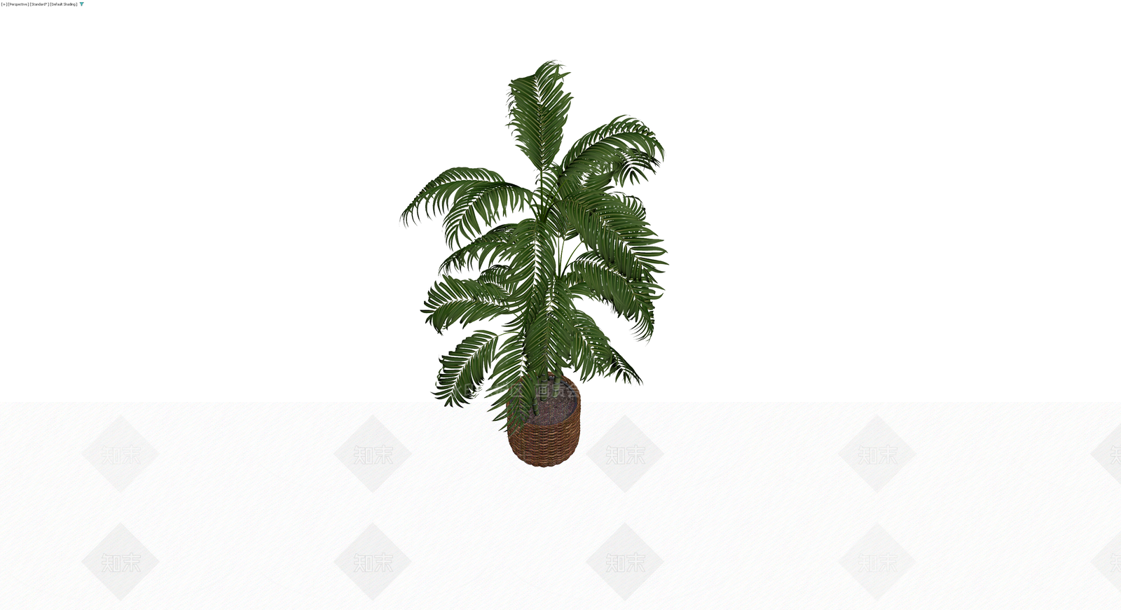 盆栽散尾葵棕榈3D模型下载【ID:1230764931】