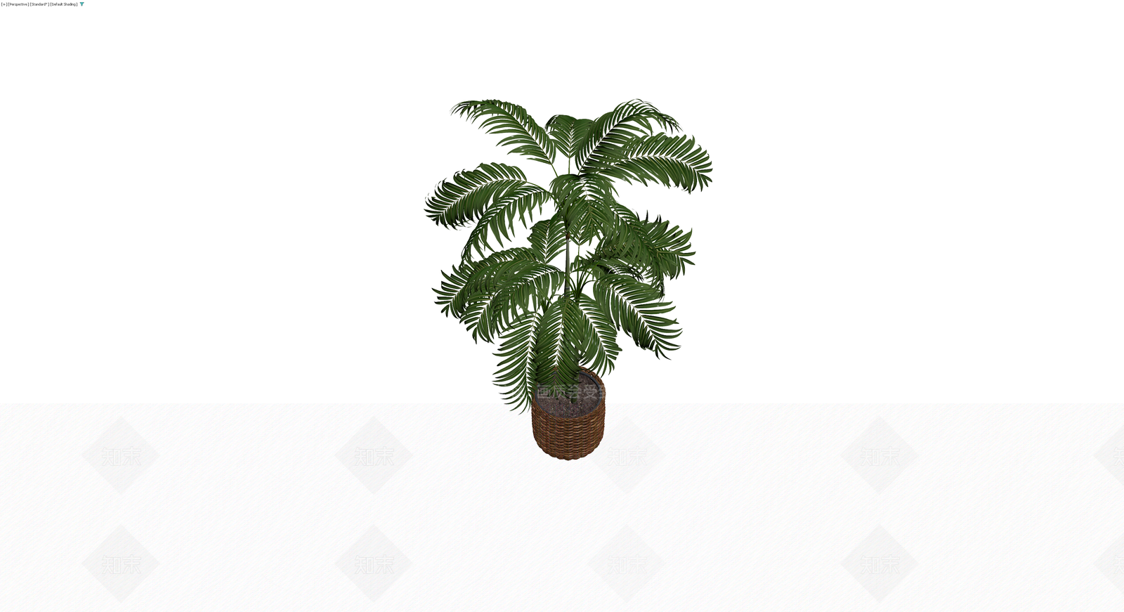 盆栽散尾葵棕榈3D模型下载【ID:1230764931】