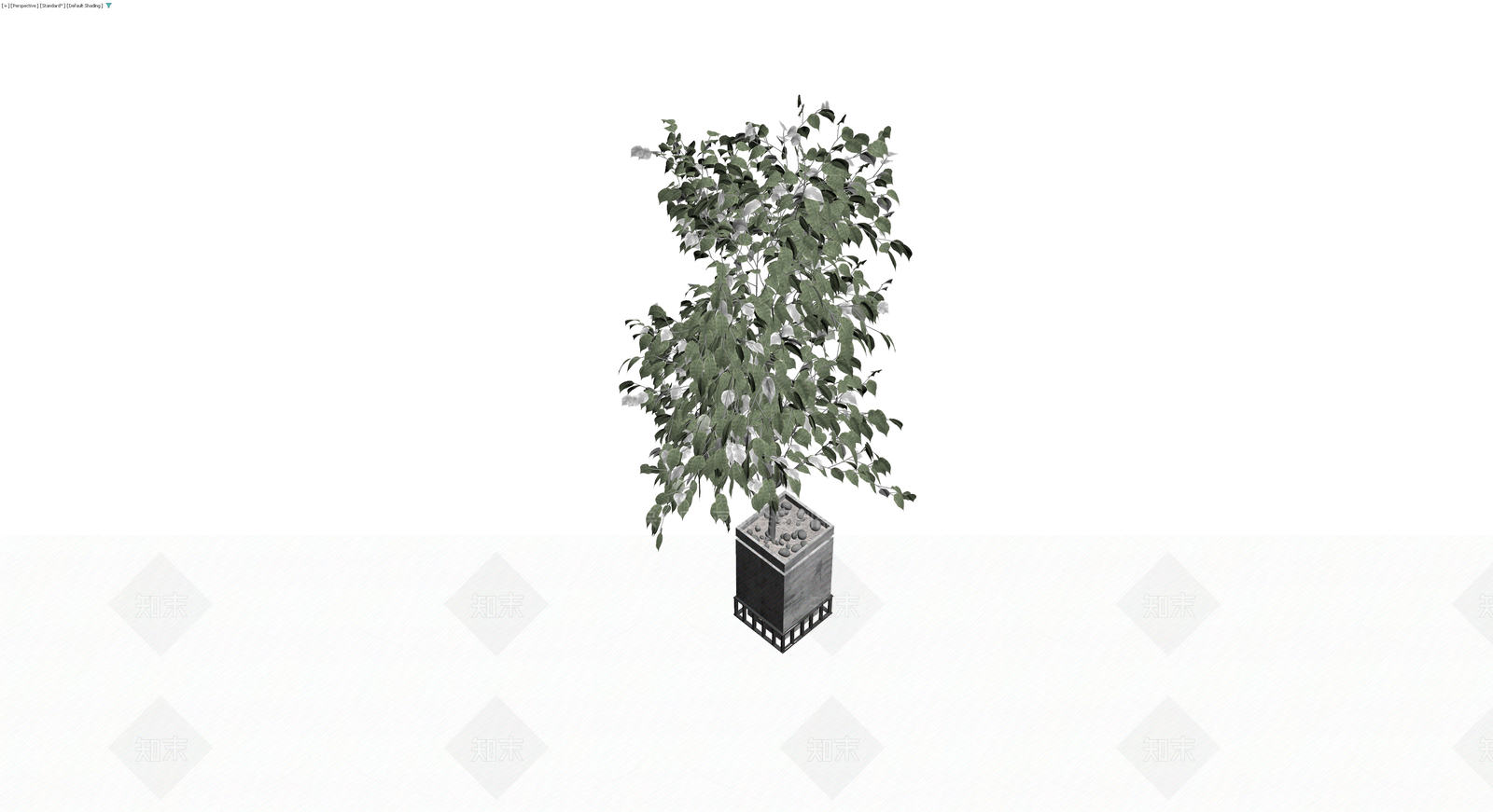 带盆绿植盆栽模型3D模型下载【ID:1230325105】