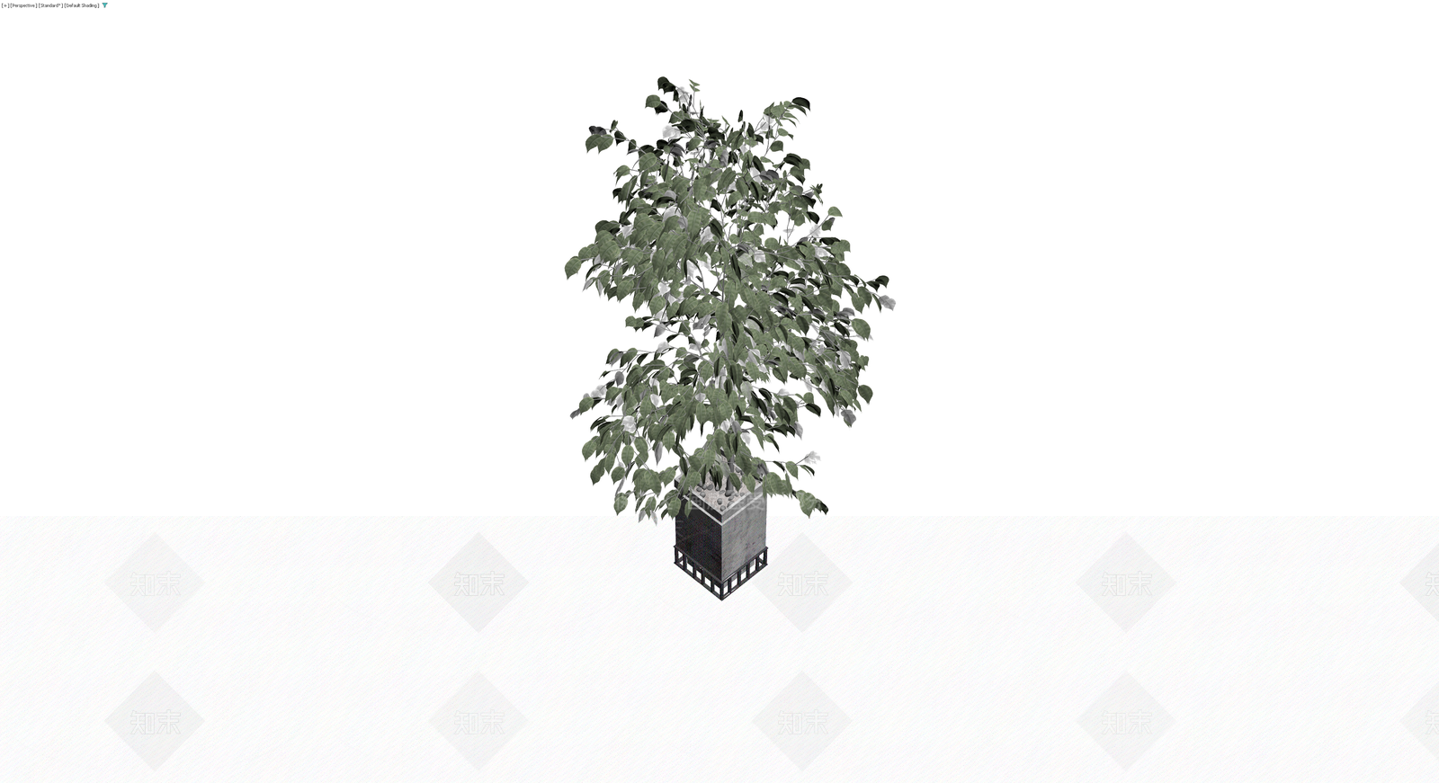 带盆绿植盆栽模型3D模型下载【ID:1230325105】