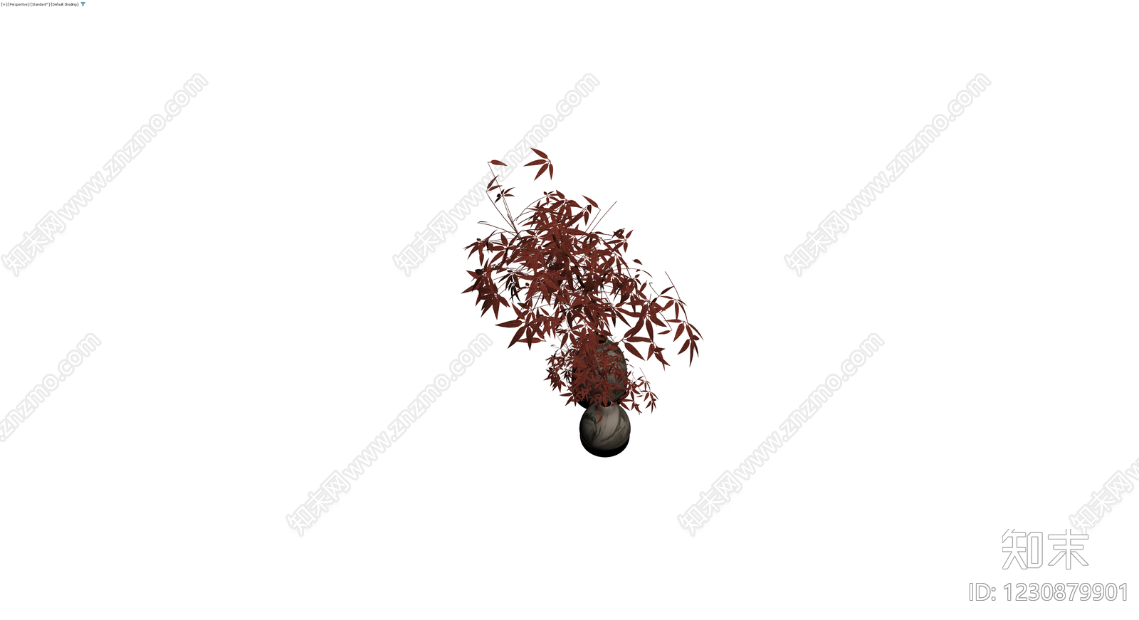 双瓶红叶盆栽组合3D模型下载【ID:1230879901】