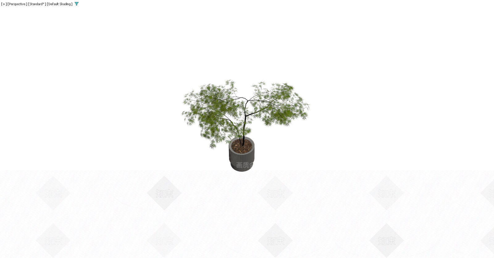 灰色纹理盆栽植物3D模型下载【ID:1229578495】