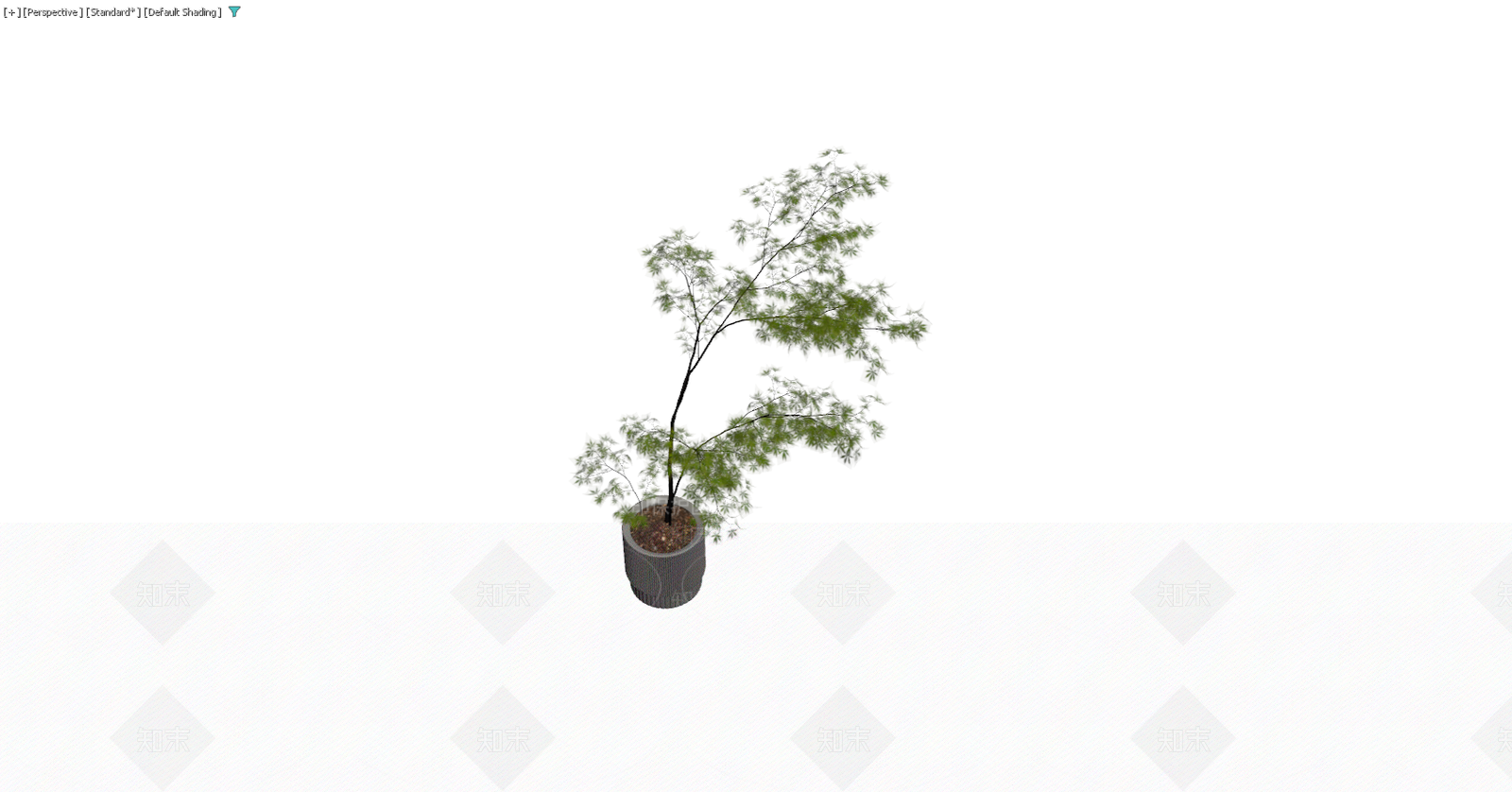 灰色纹理盆栽植物3D模型下载【ID:1229578495】