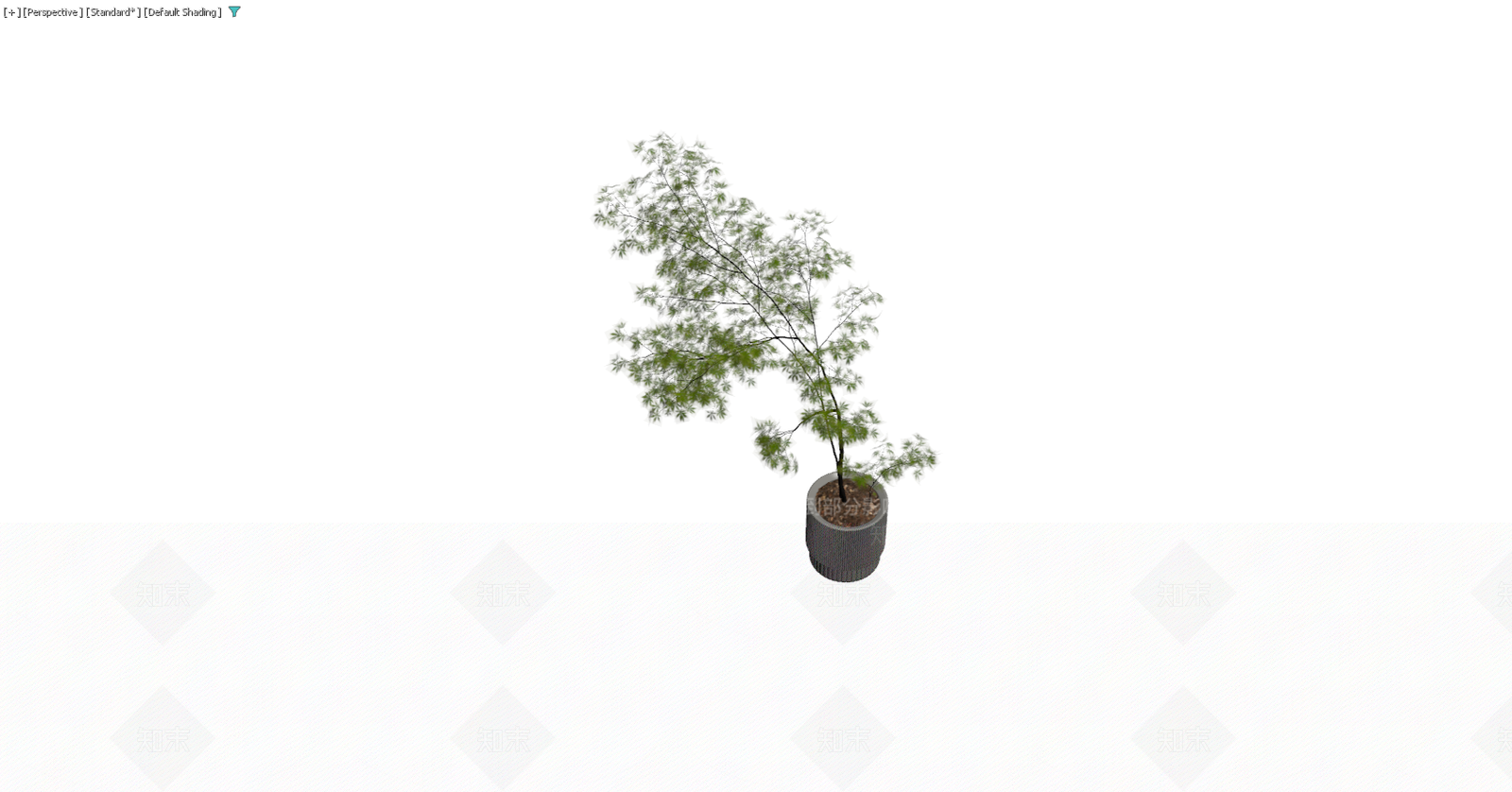灰色纹理盆栽植物3D模型下载【ID:1229578495】