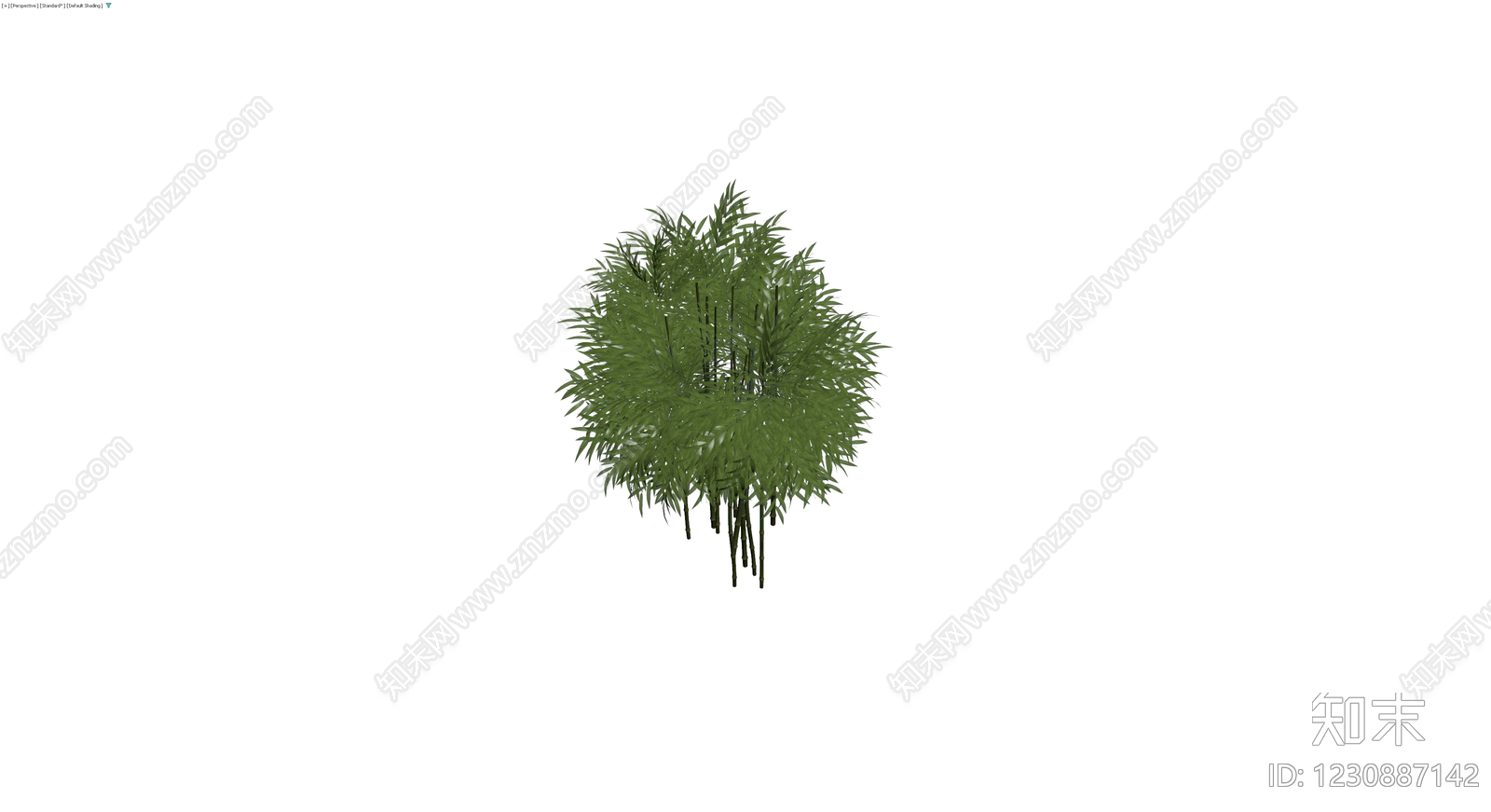 丛生竹子景观植物3D模型下载【ID:1230887142】