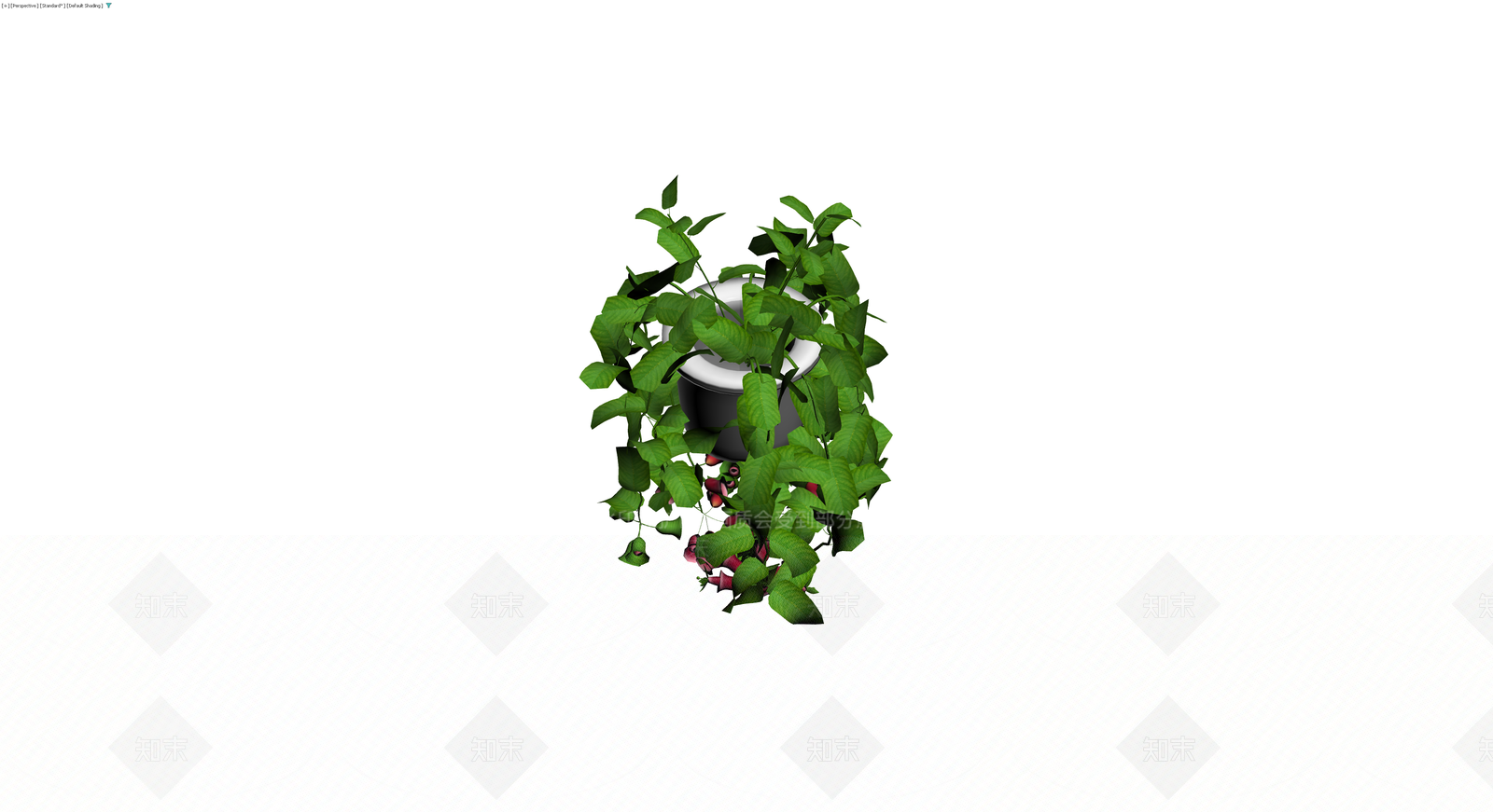 带盆垂吊植物盆栽3D模型下载【ID:1230741599】