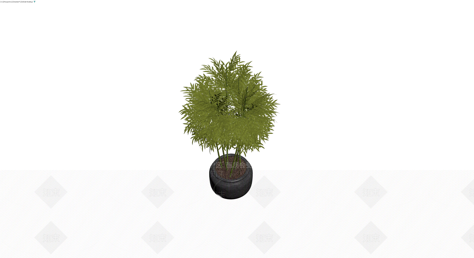 盆栽竹子植物3D模型下载【ID:1229918460】