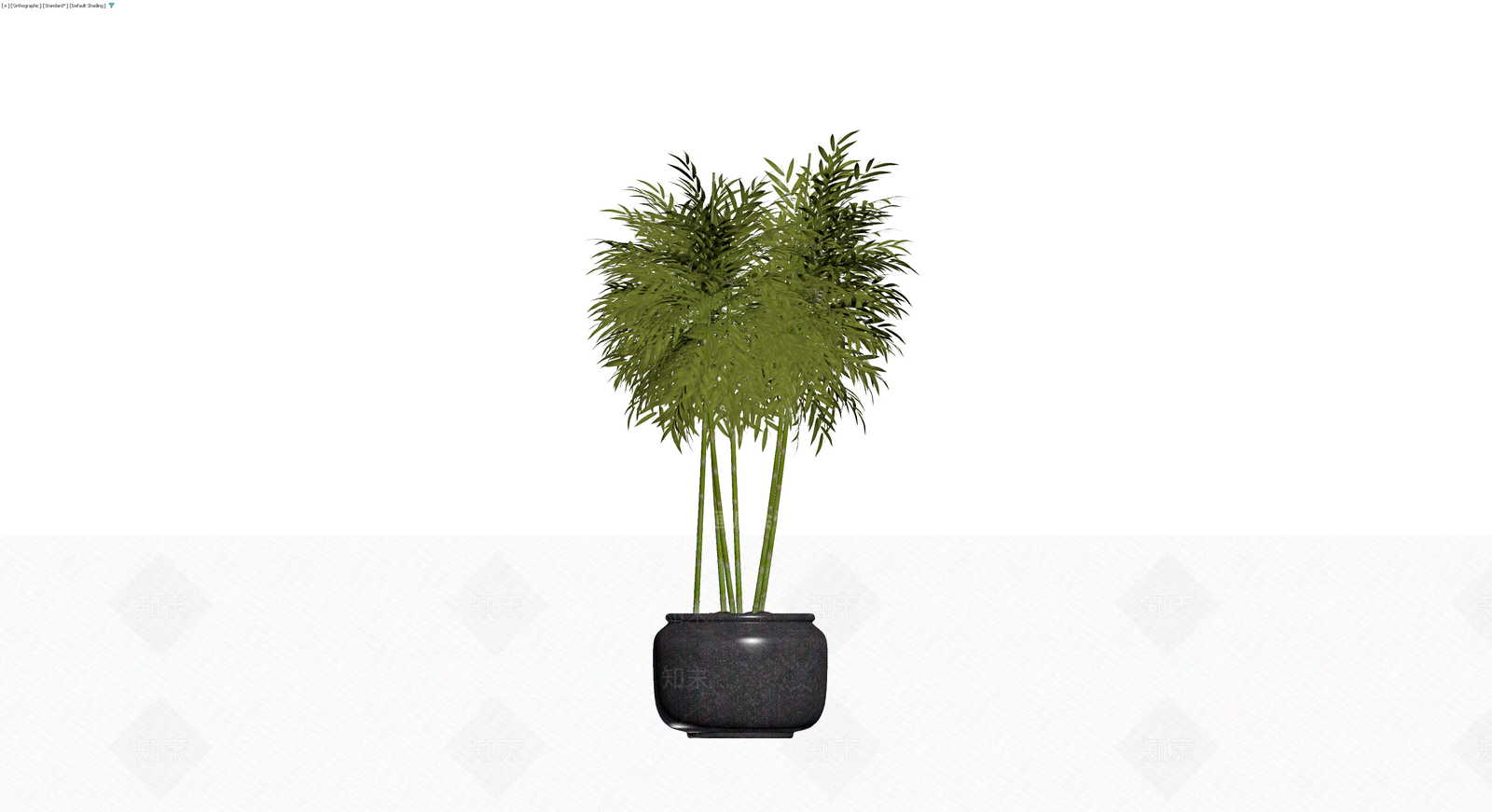 盆栽竹子植物3D模型下载【ID:1229918460】